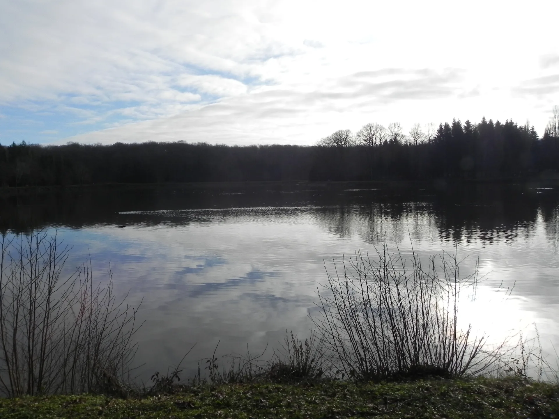 Lac de la Folie à Contrexéville — À 265 m du lac