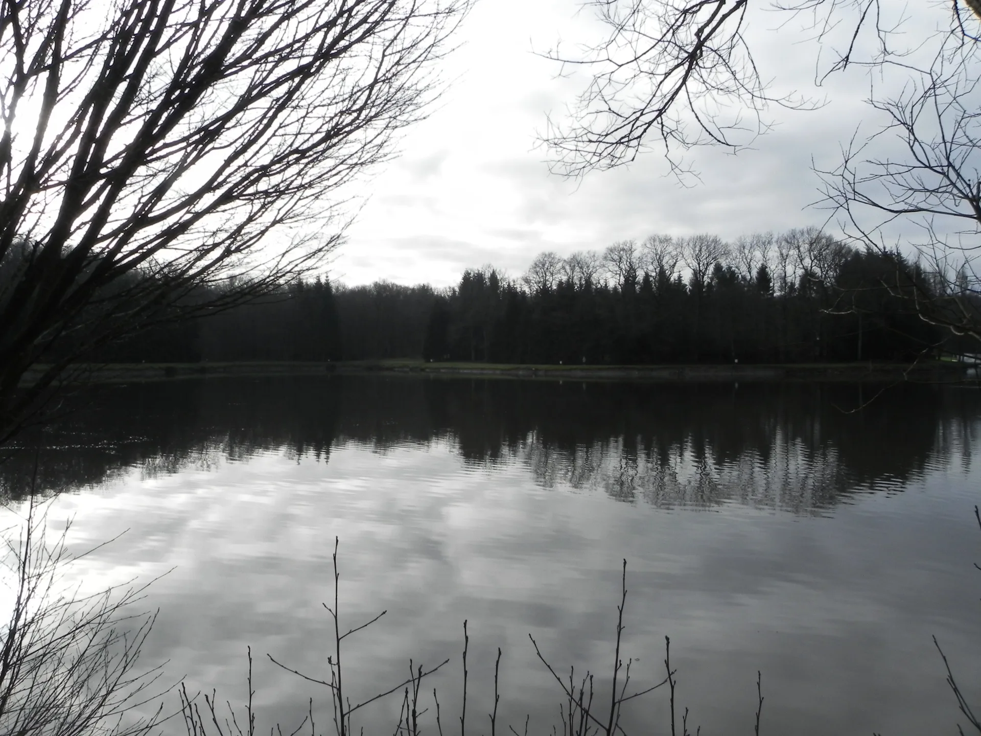 Lac de la Folie à Contrexéville — À 308 m du lac
