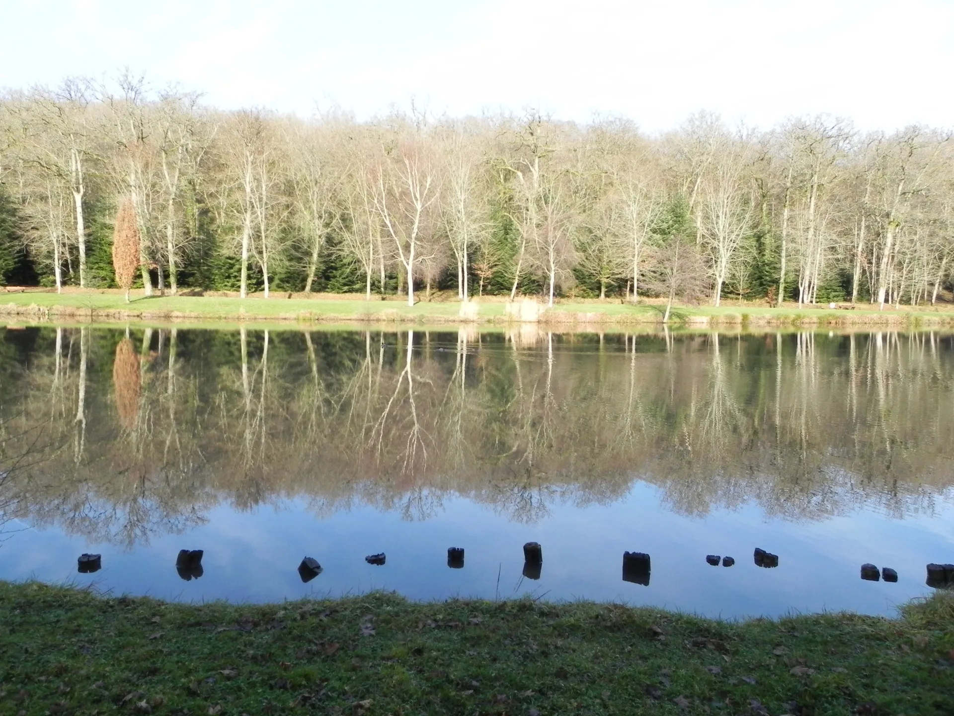 Lac de la Folie à Contrexéville — À 331 m du lac