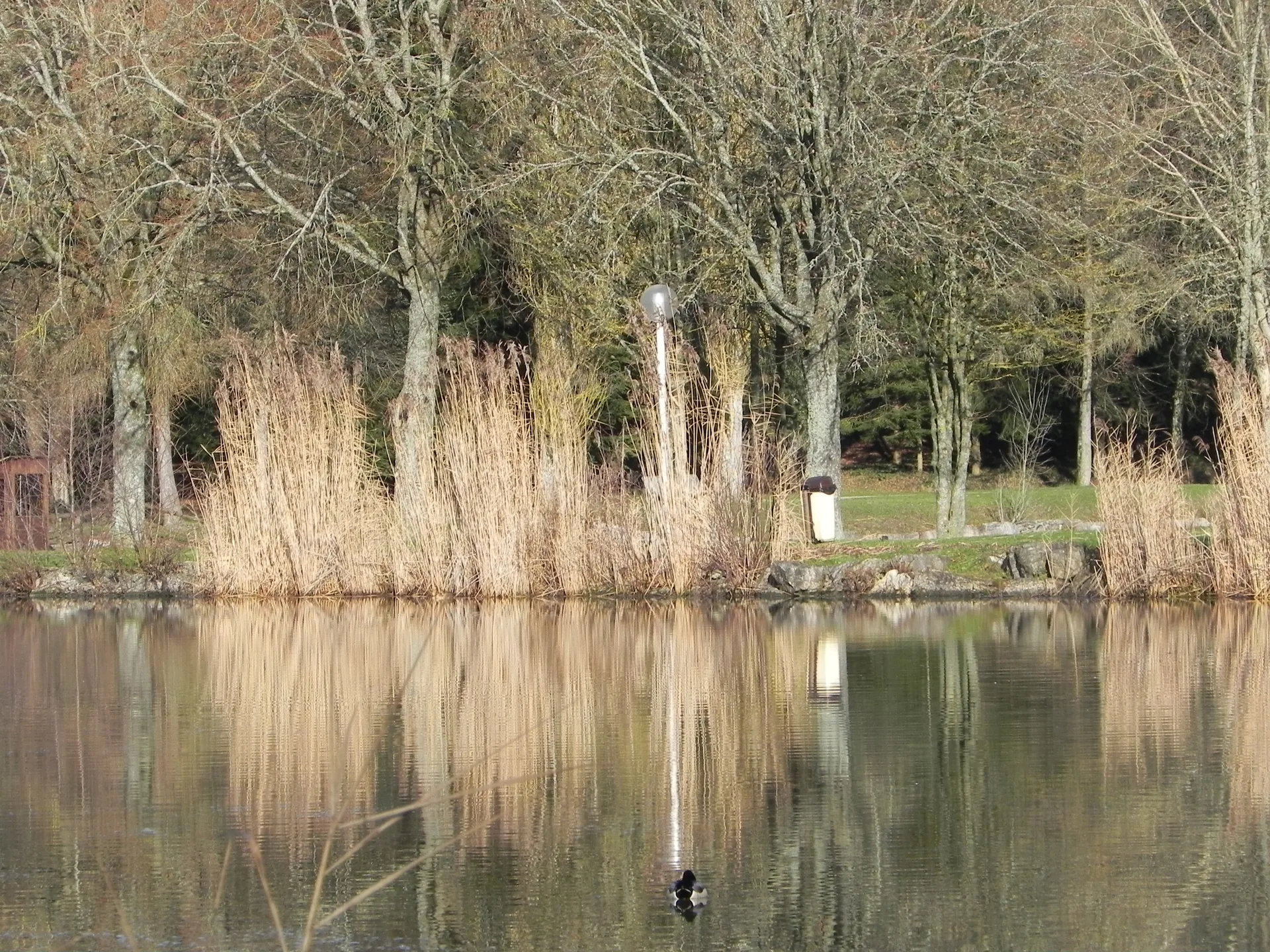 Lac de la Folie à Contrexéville — Sur le lac