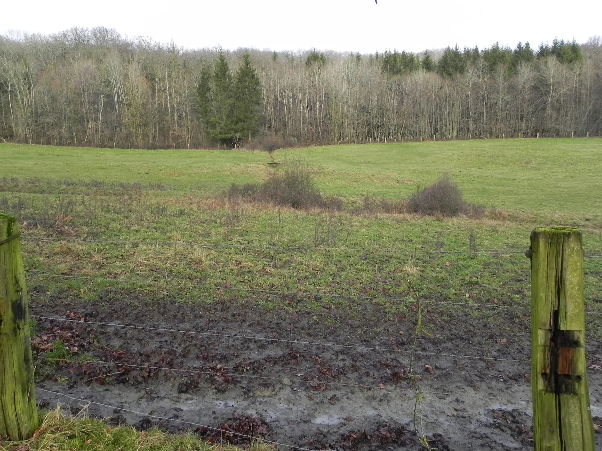 Lac de la Folie à Contrexéville — À 364 m du lac