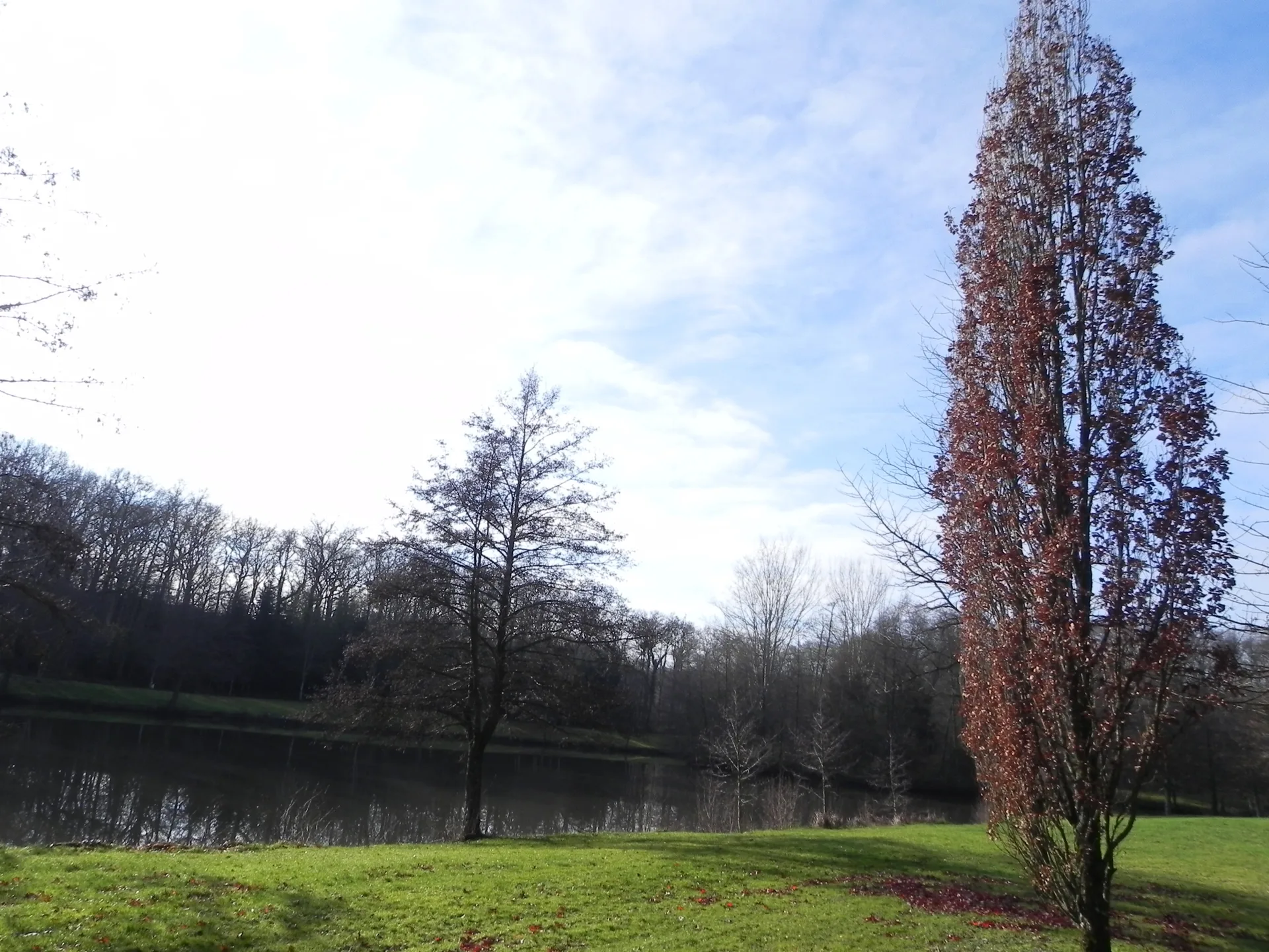 Lac de la Folie à Contrexéville — À 449 m du lac