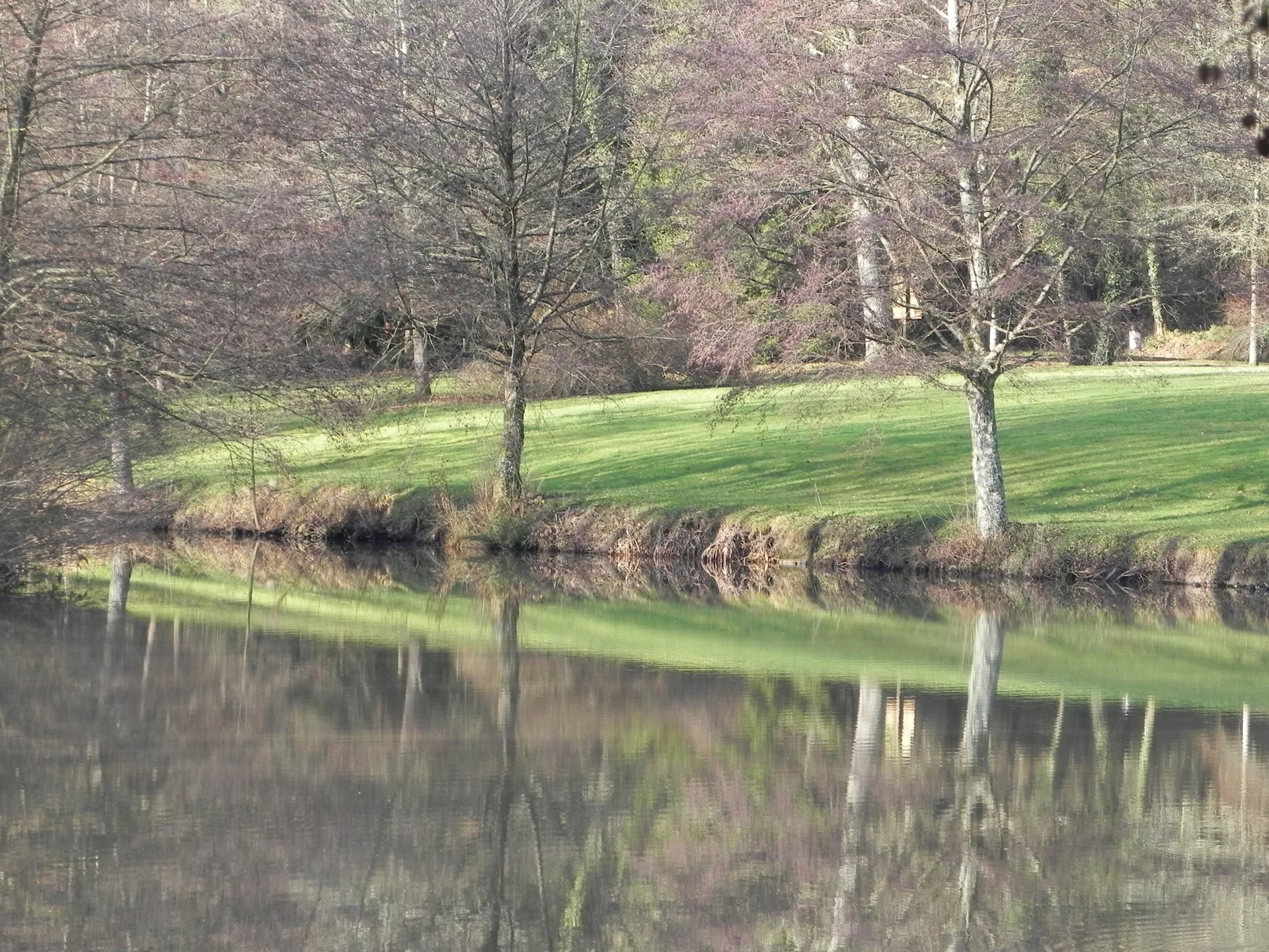 Lac de la Folie à Contrexéville — À 489 m du lac