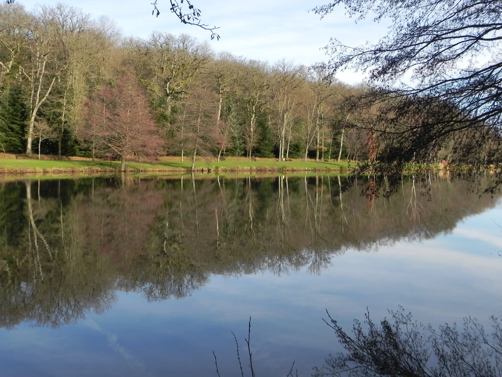 Lac de la Folie à Contrexéville — À 493 m du lac