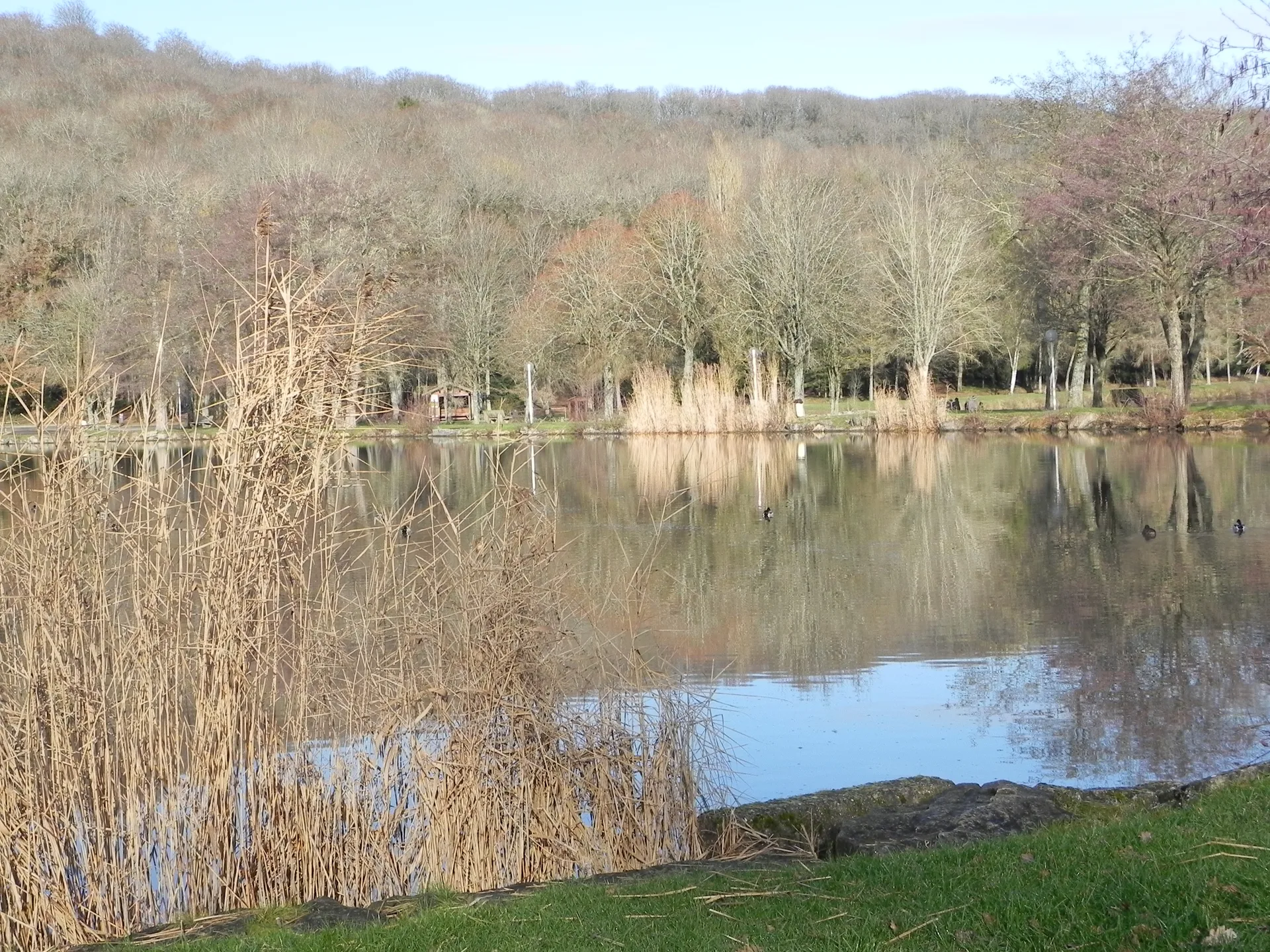 Lac de la Folie à Contrexéville — Sur le lac