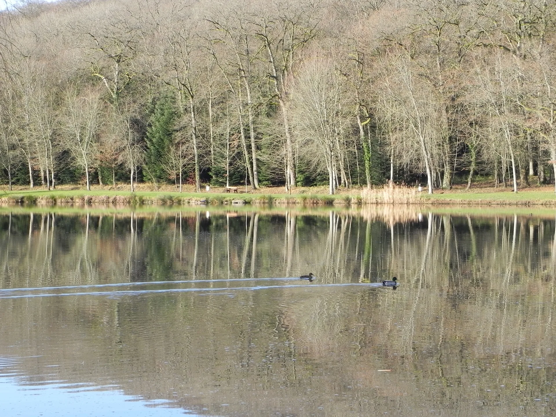 Lac de la Folie à Contrexéville — Sur le lac