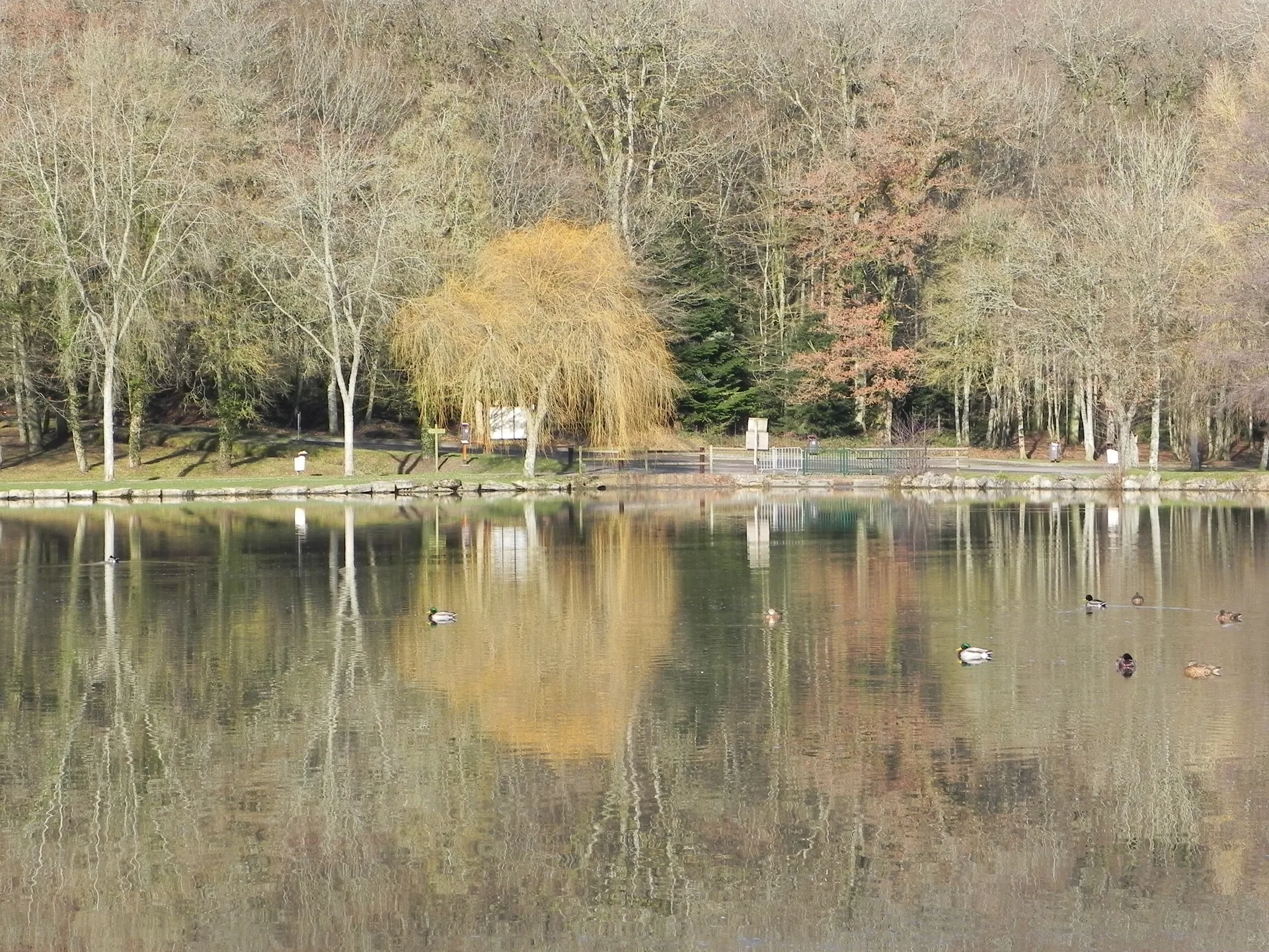 Lac de la Folie à Contrexéville — Sur le lac