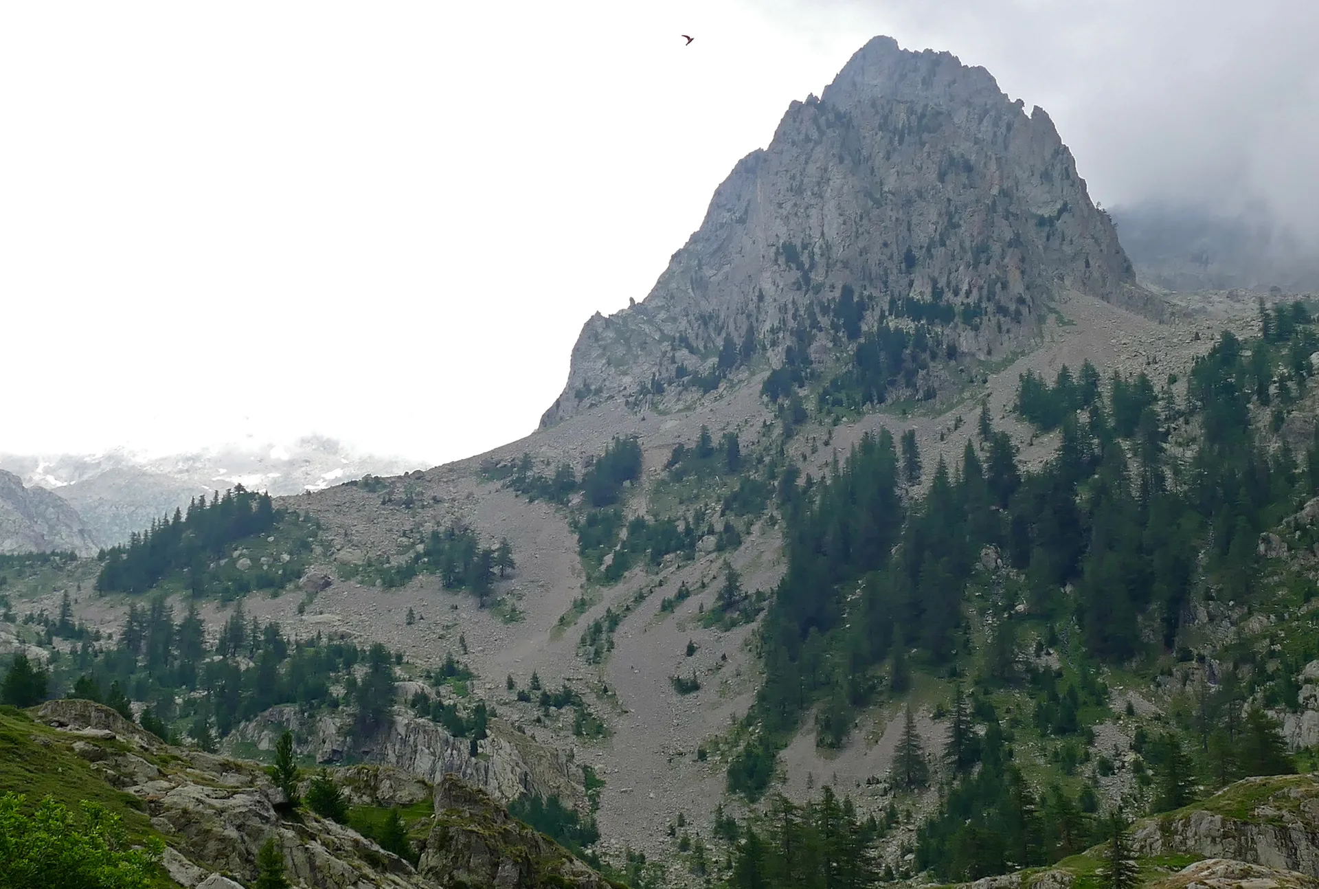 Lac de la Fous à Belvédère — À 2,0 km du lac