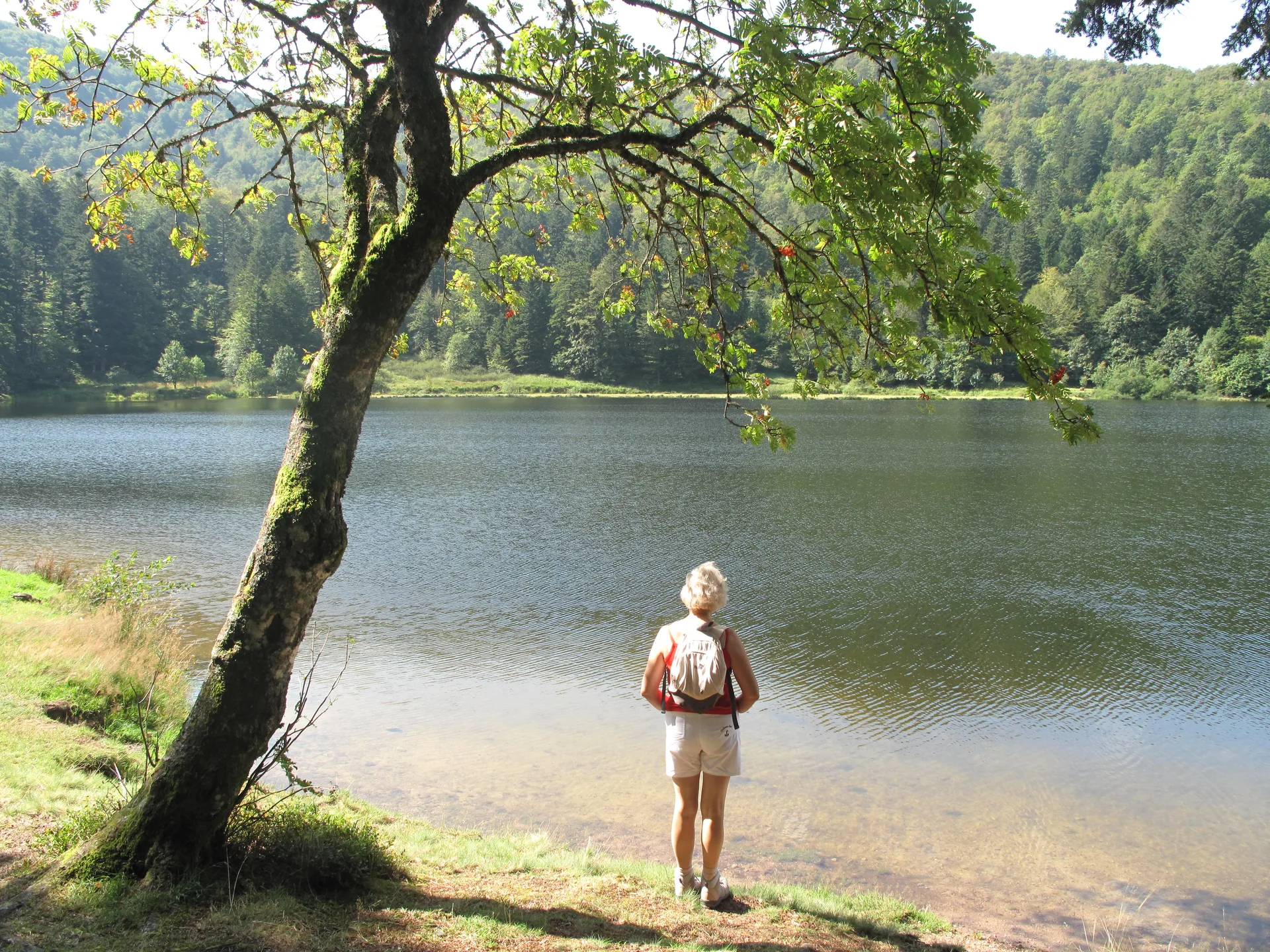 Lac de La Lande à La Bresse — À 1,8 km du lac