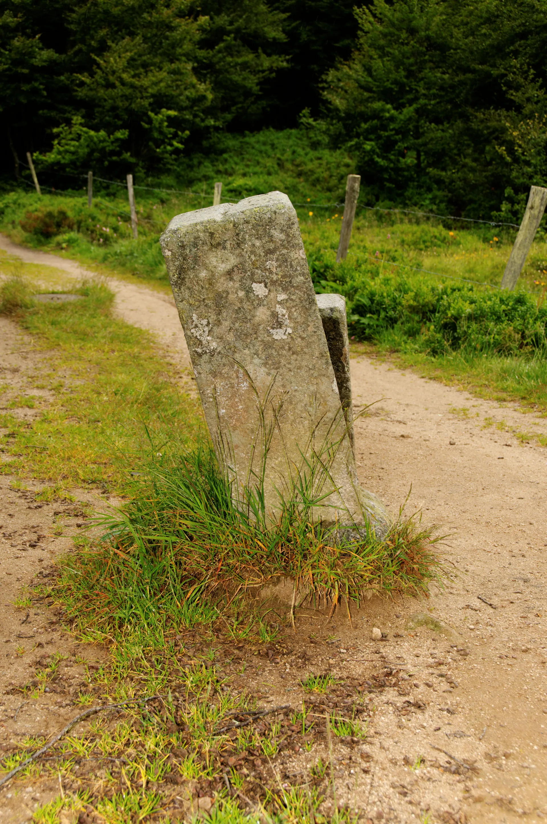 Lac de La Lande à La Bresse — À 1,8 km du lac
