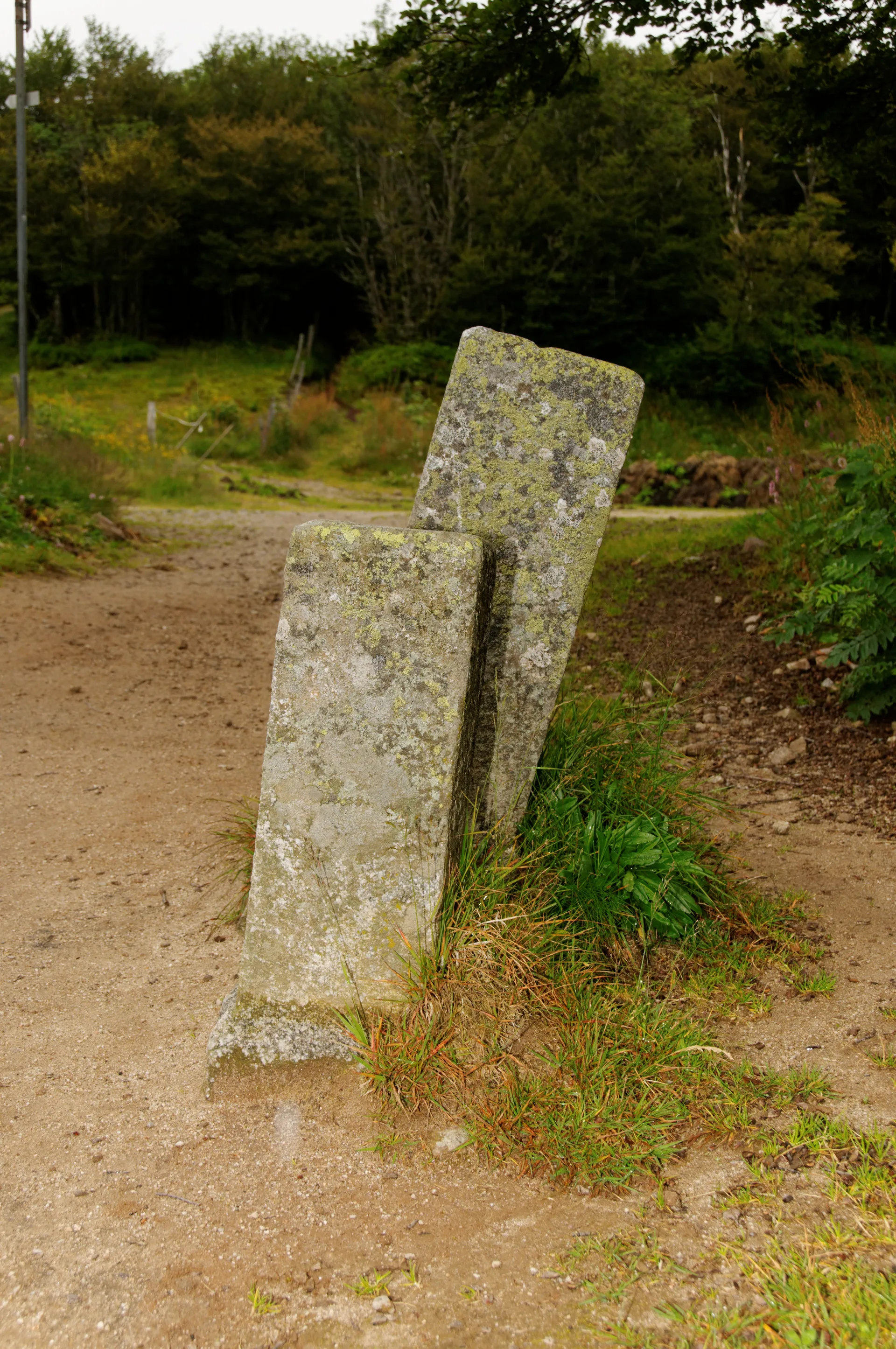 Lac de La Lande à La Bresse — À 1,8 km du lac