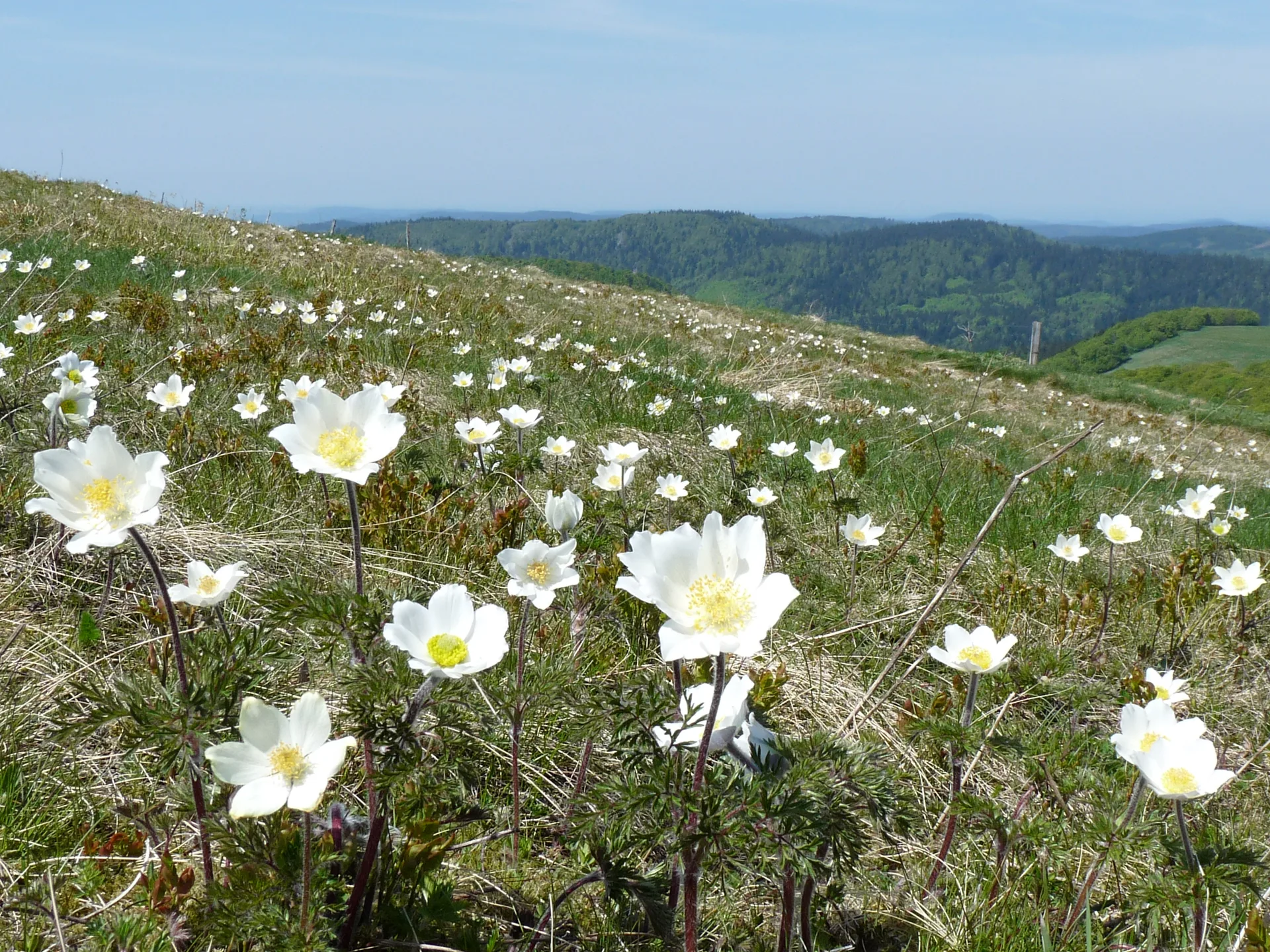 Lac de La Lande à La Bresse — À 1,9 km du lac