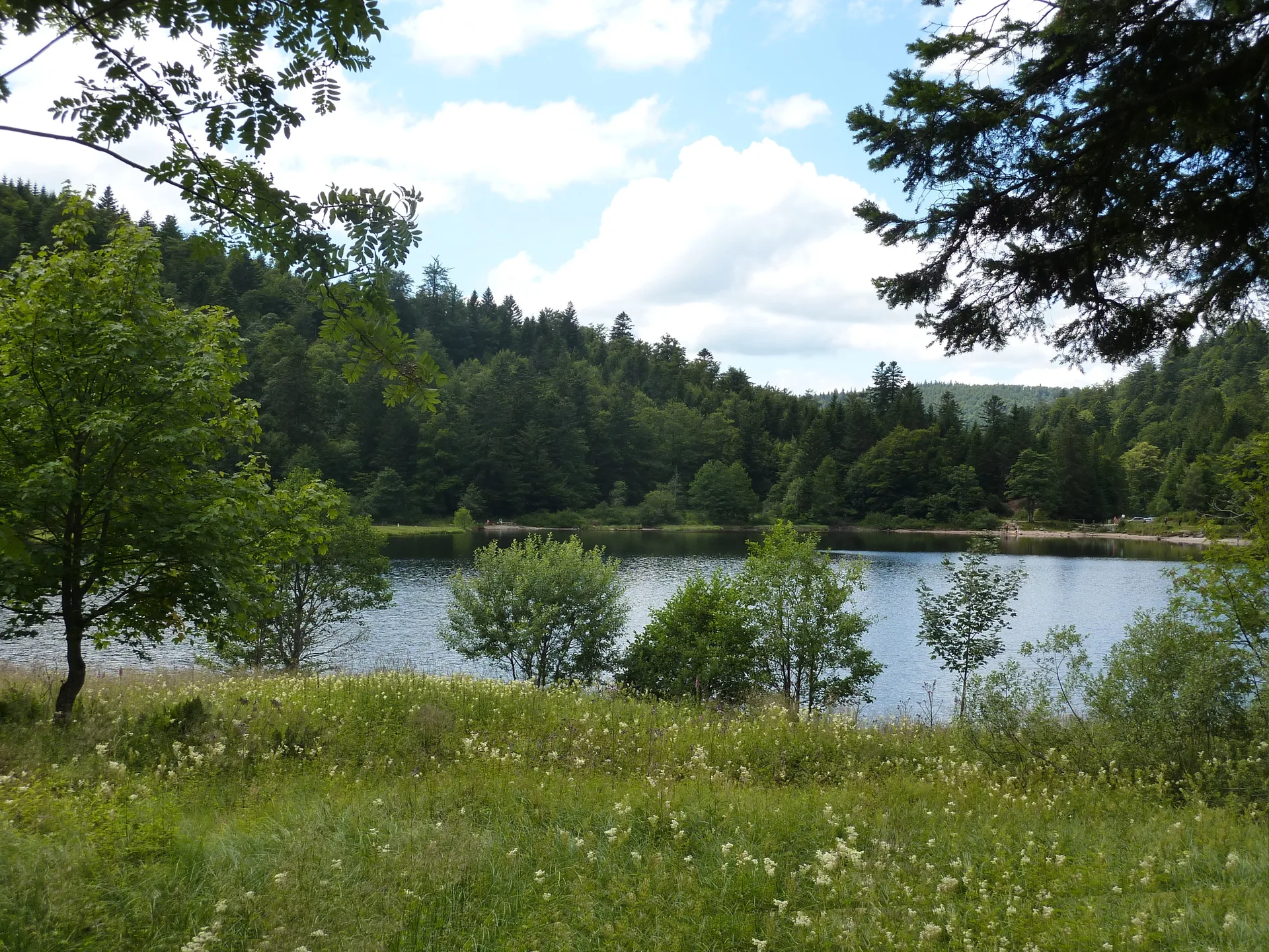 Lac de La Lande à La Bresse — À 1,9 km du lac