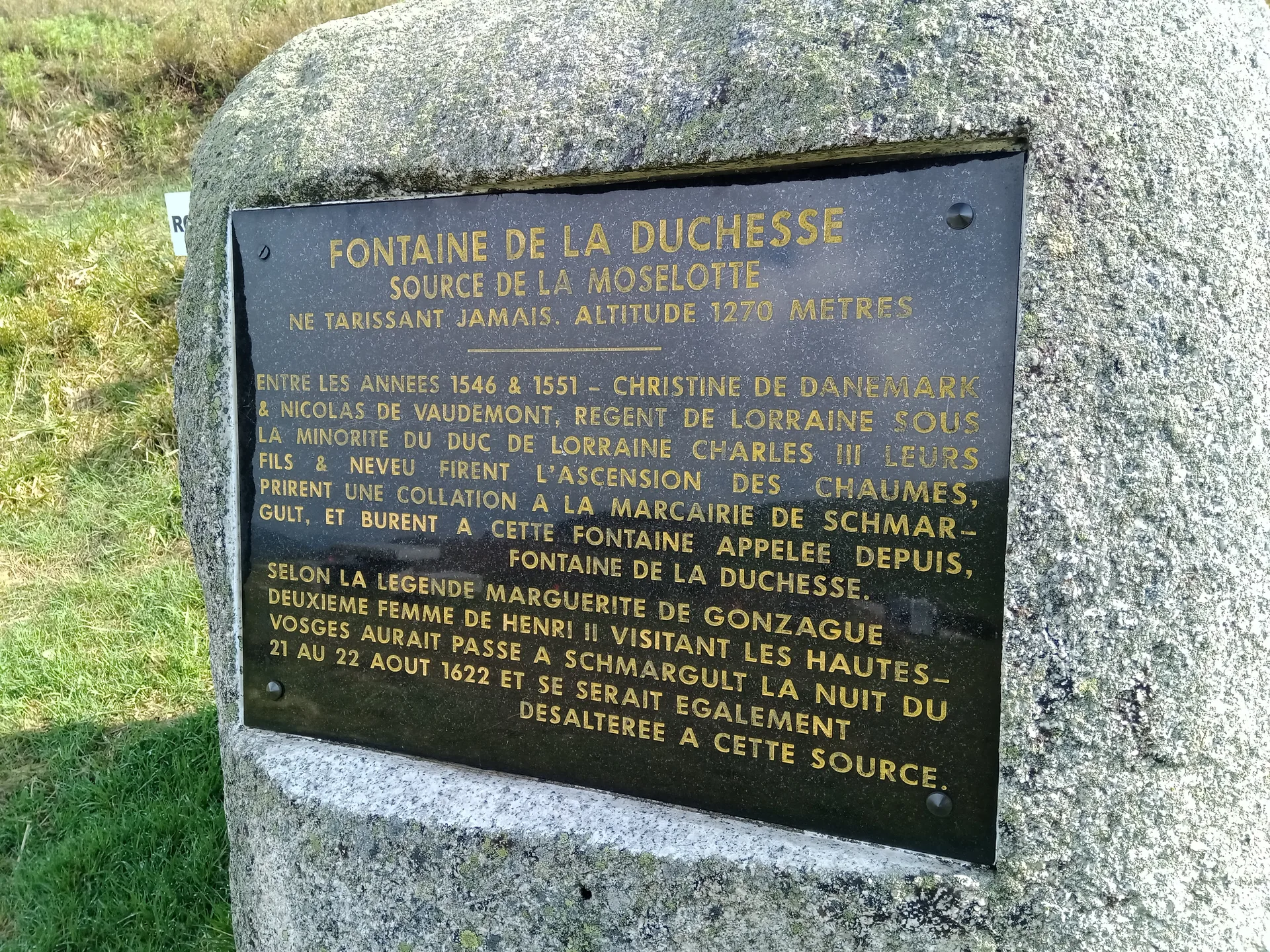 Lac de La Lande à La Bresse — À 2,0 km du lac