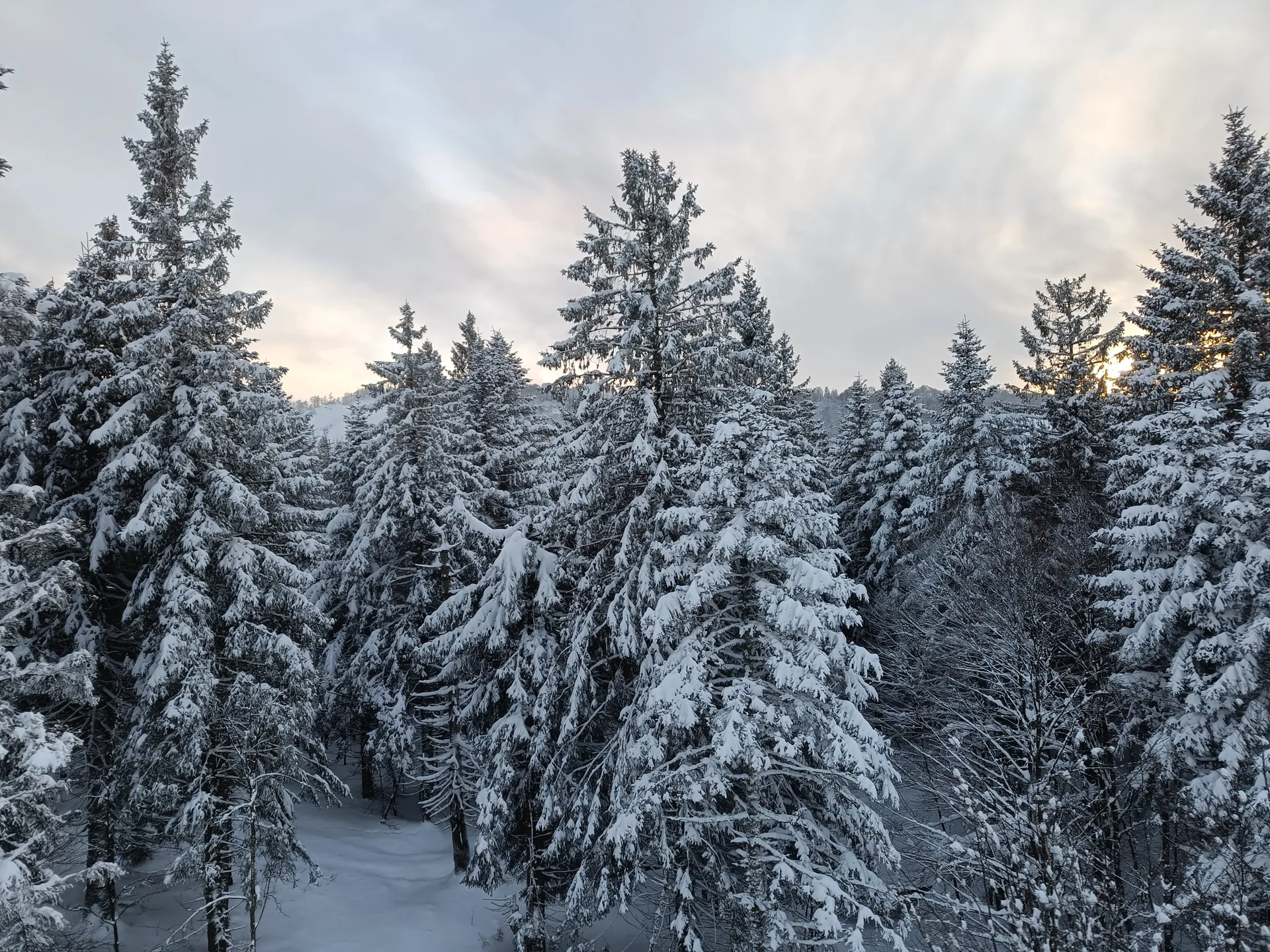 Lac de La Lande à La Bresse — À 584 m du lac