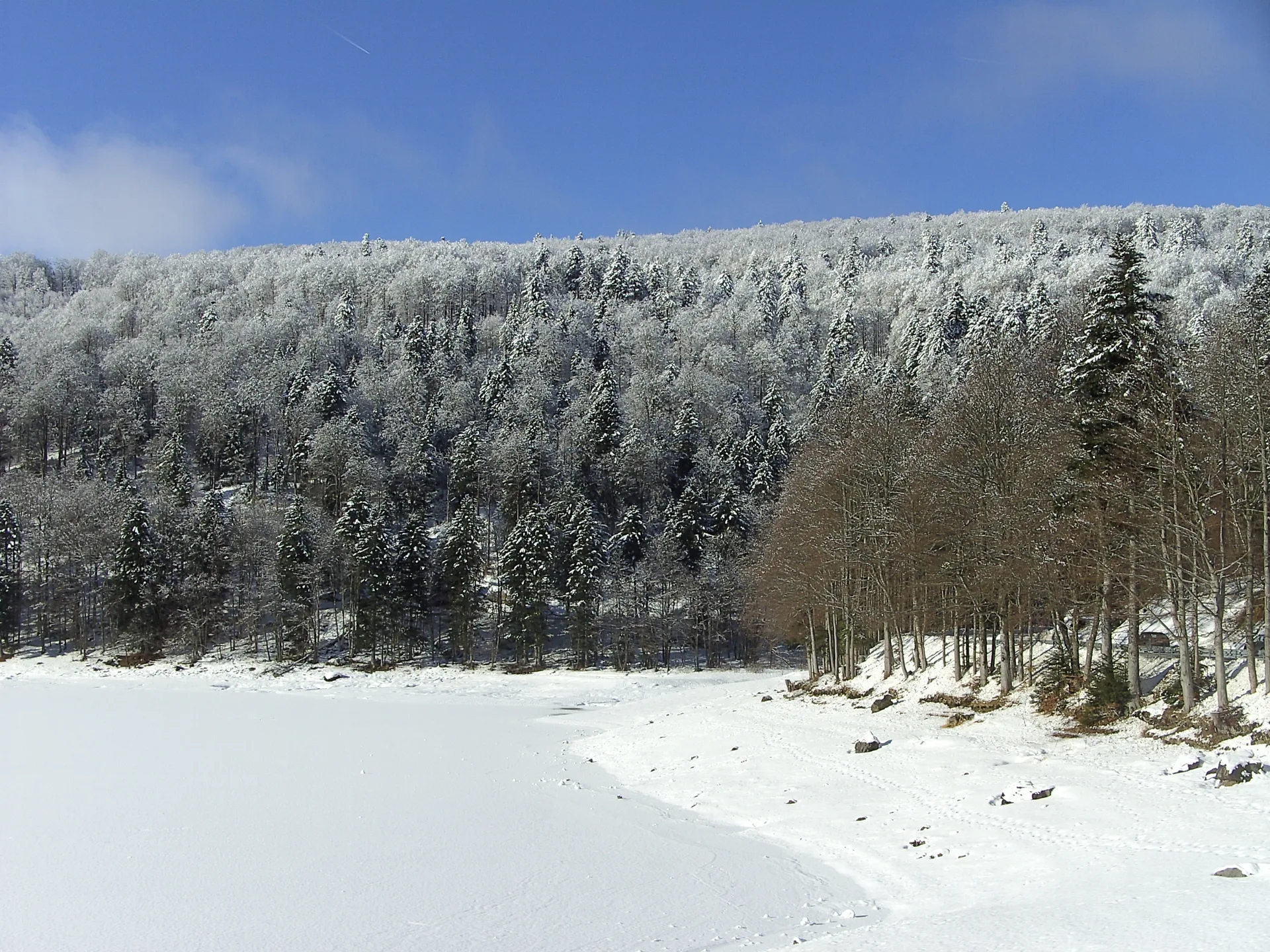 Lac de la Lauch à Linthal — Sur le lac
