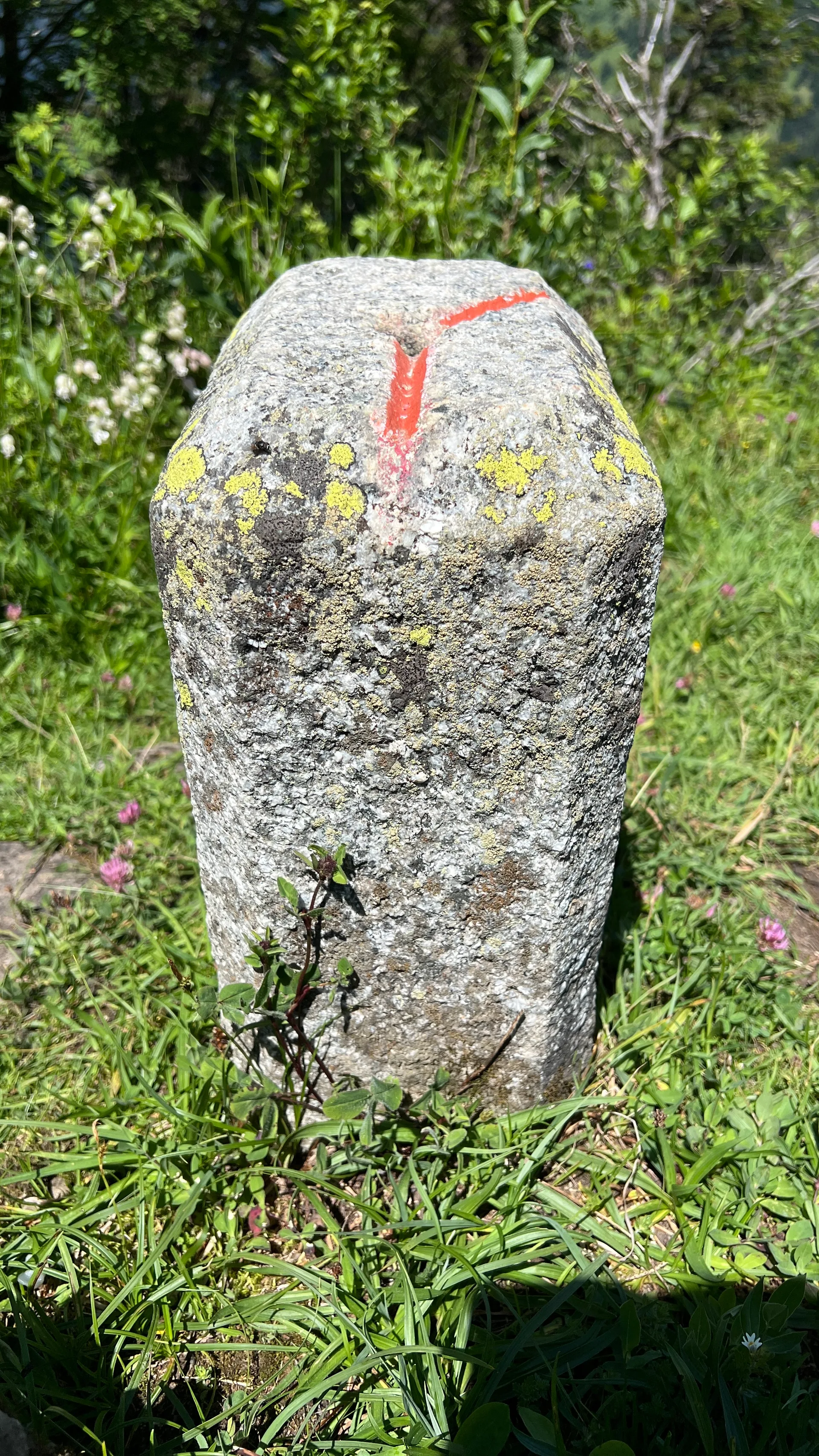 Lac de la Mouille à Châtel — À 363 m du lac