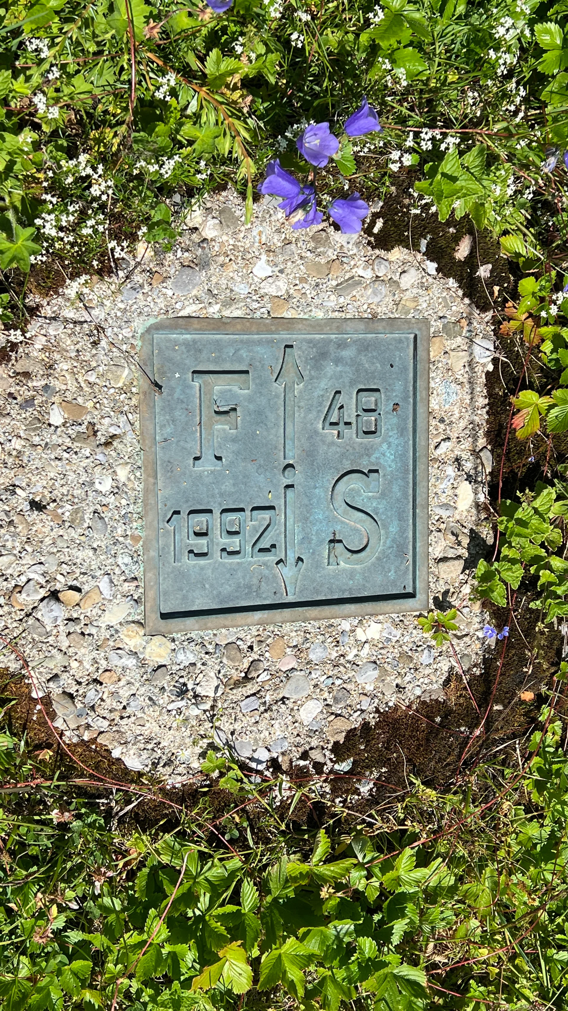 Lac de la Mouille à Châtel — À 455 m du lac