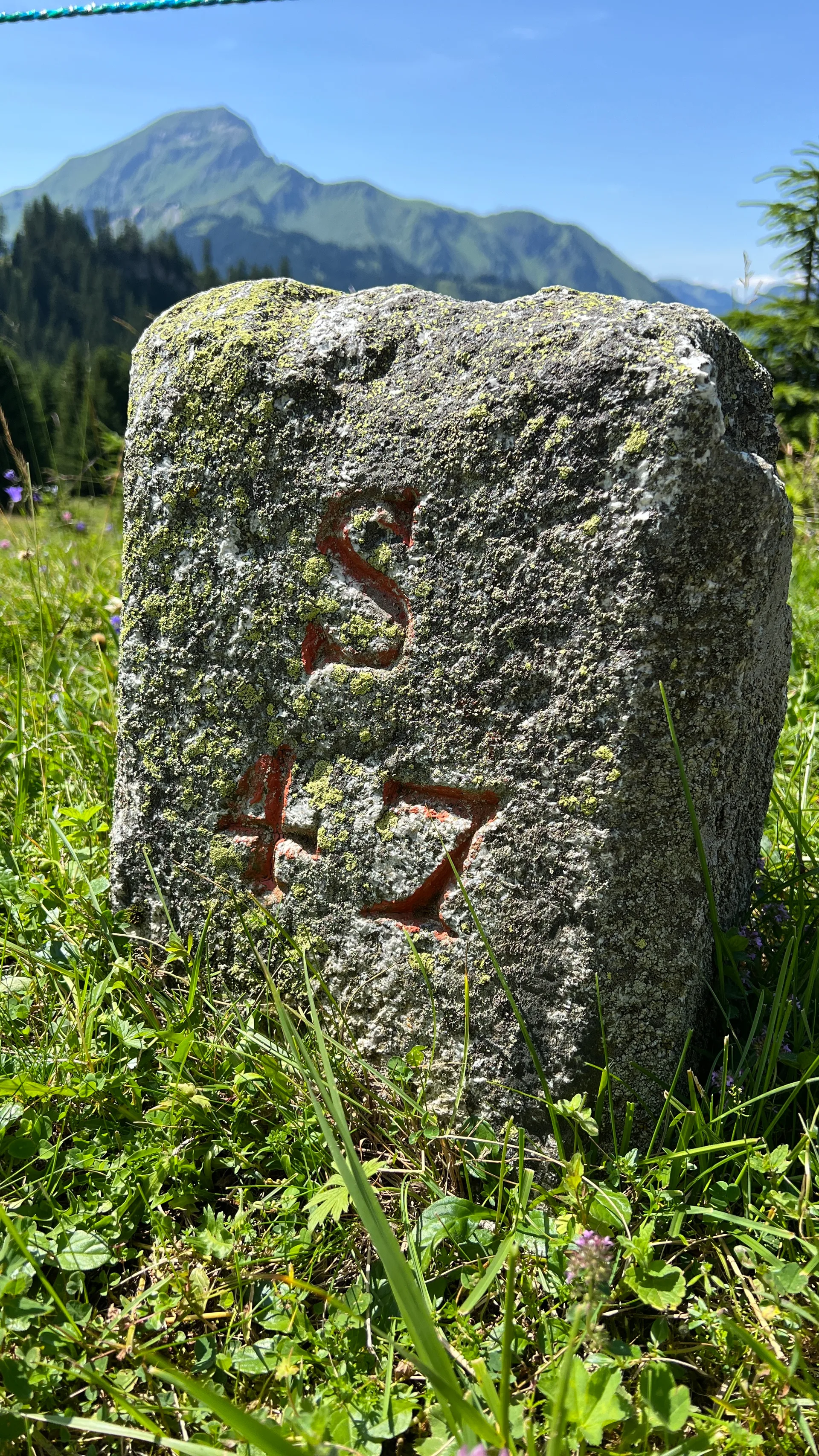 Lac de la Mouille à Châtel — À 312 m du lac