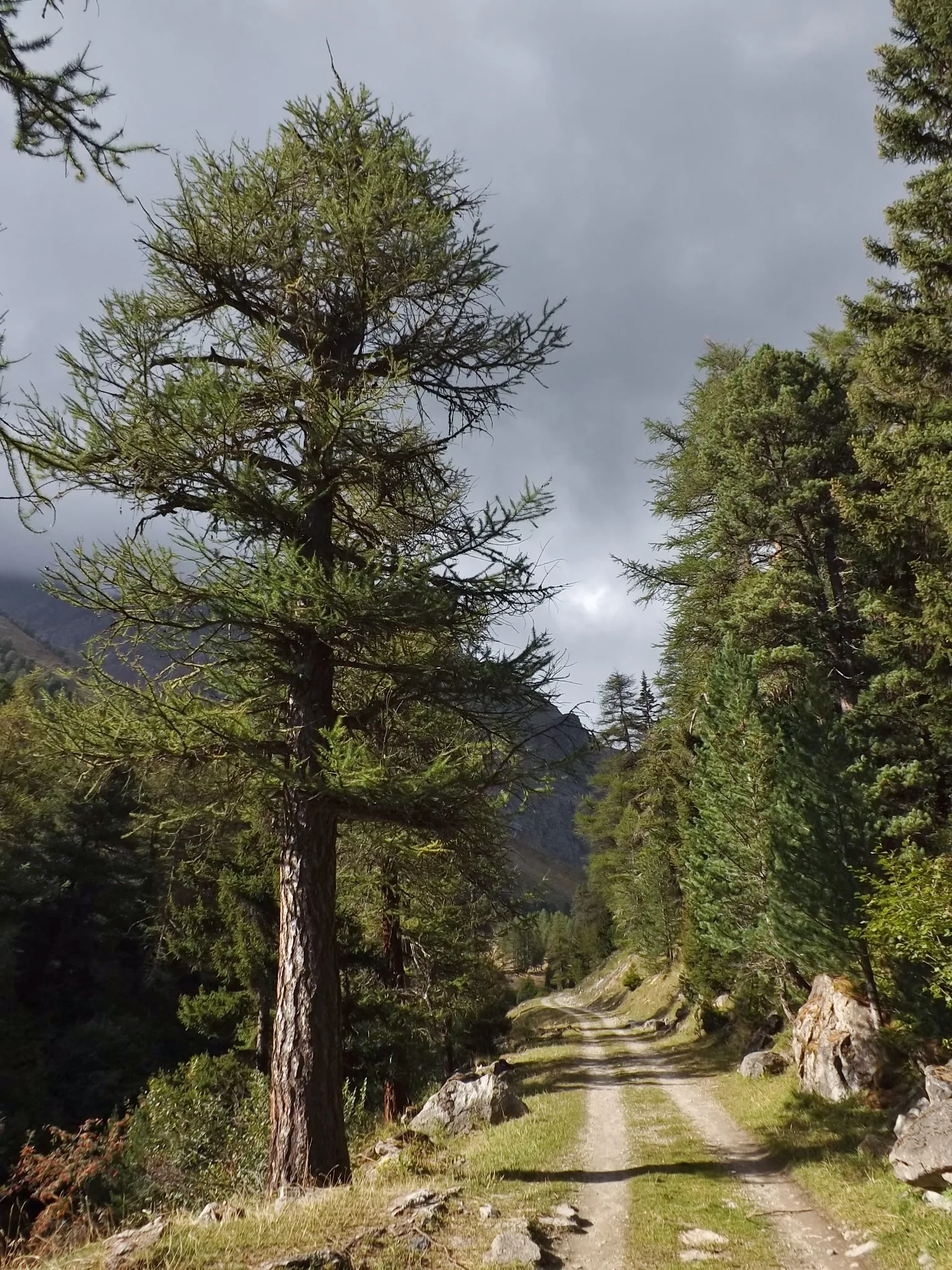 Lac de la Partie à Villarodin-Bourget — À 3,3 km du lac