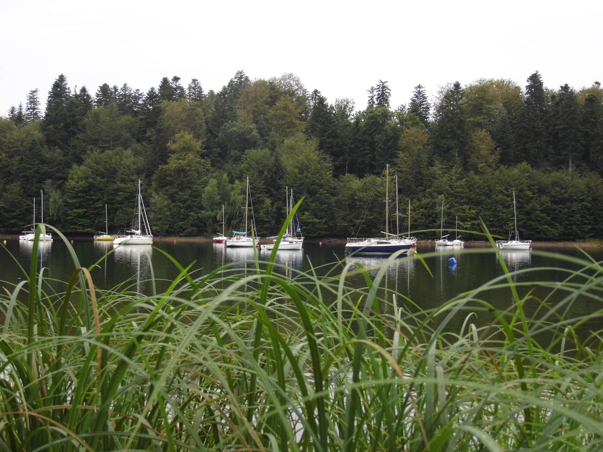 Lac de la Plaine à Celles-sur-Plaine — À 3,5 km du lac