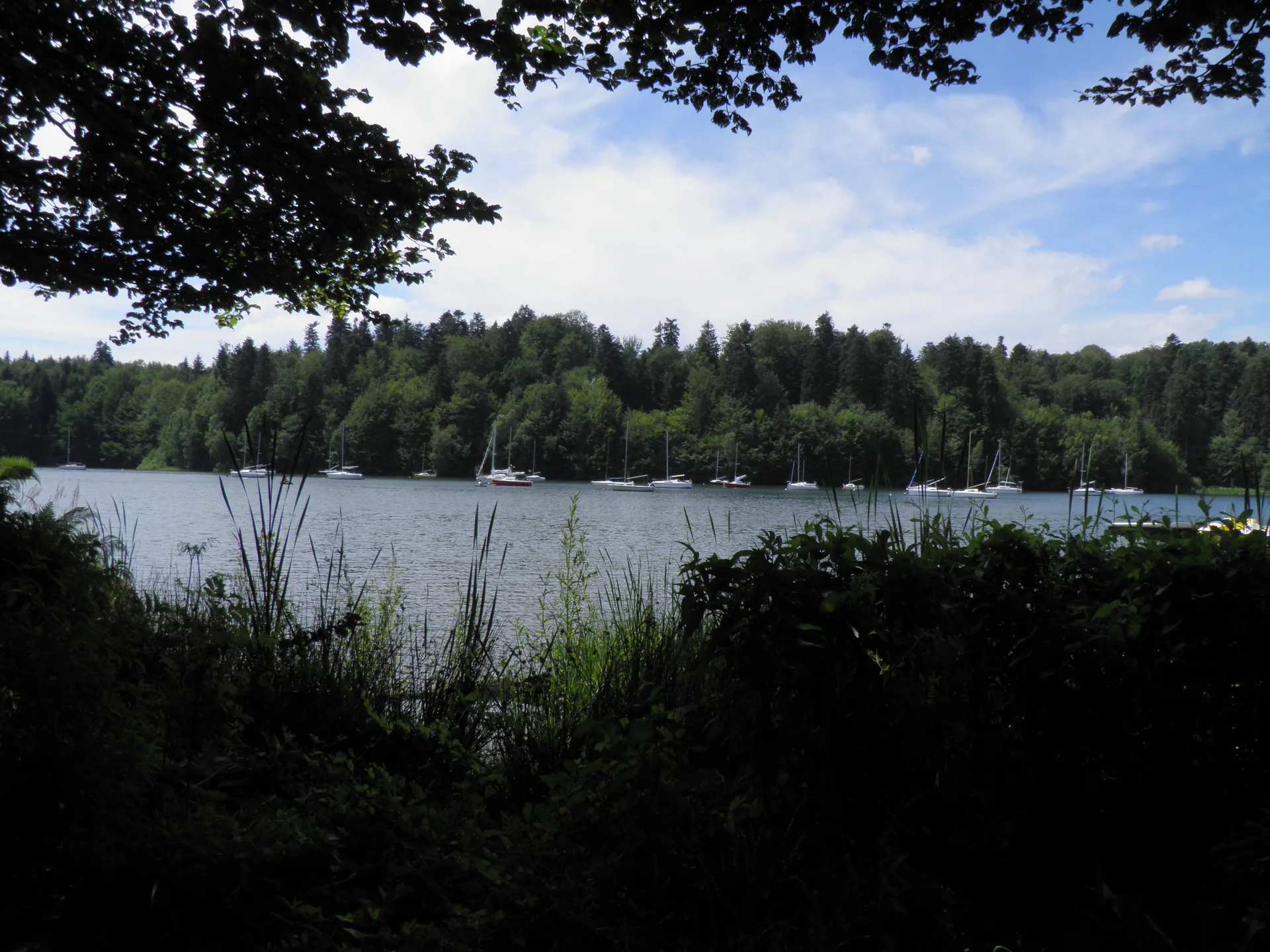 Lac de la Plaine à Celles-sur-Plaine — À 3,5 km du lac