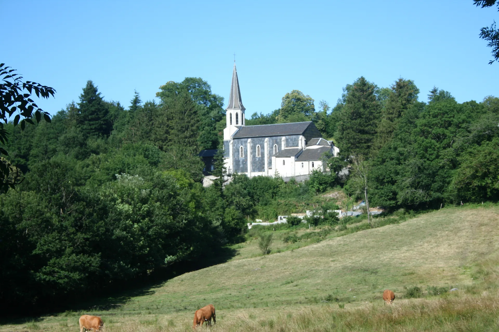 Lac de la raviege 2 à Lamontélarié — À 2,9 km du lac