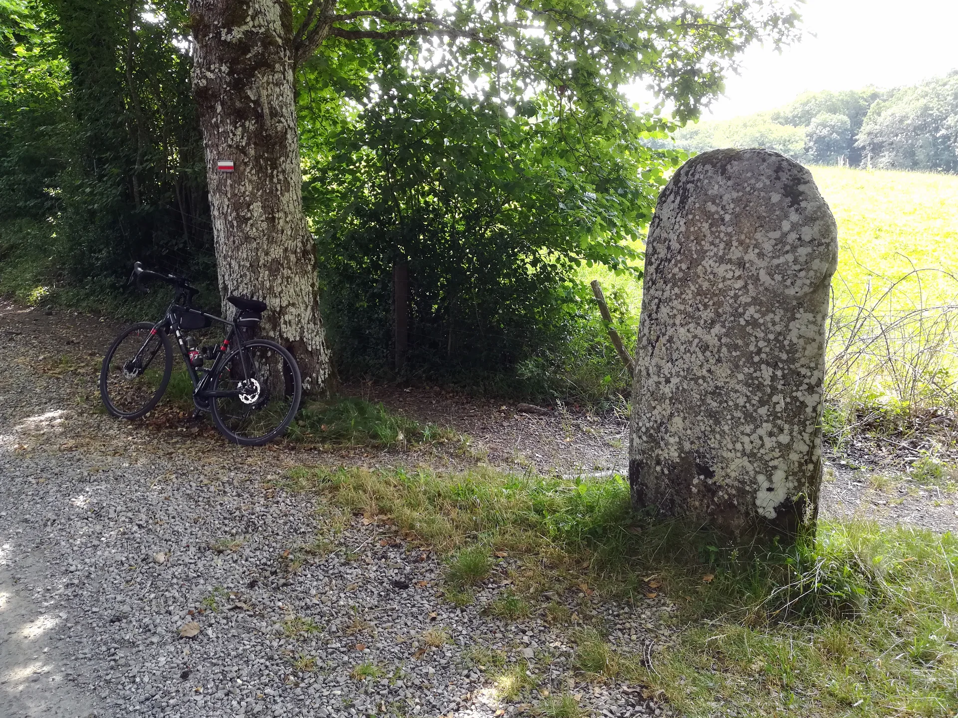 Lac de la Raviege à La Salvetat-sur-Agout — À 1,0 km du lac
