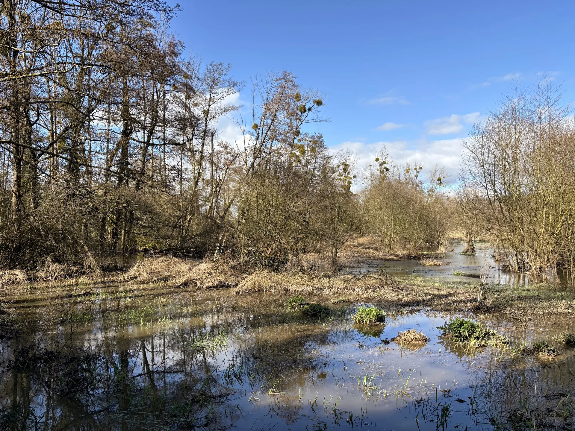 Lac de la Valiere à Vitré — À 2,1 km du lac