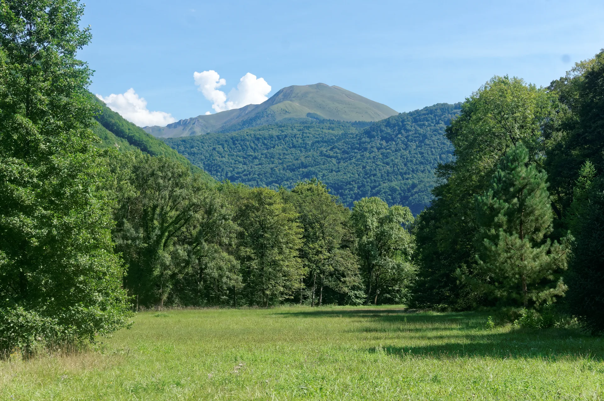 Lac de Laffrey à Laffrey — À 4,8 km du lac