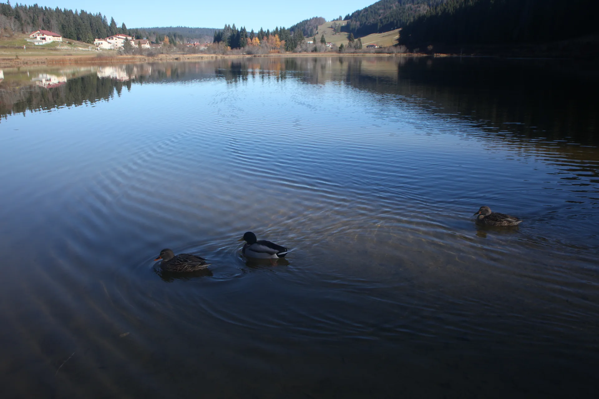 Lac de Lamoura à Lamoura — Sur le lac