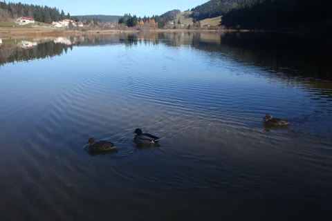 Lac de Lamoura