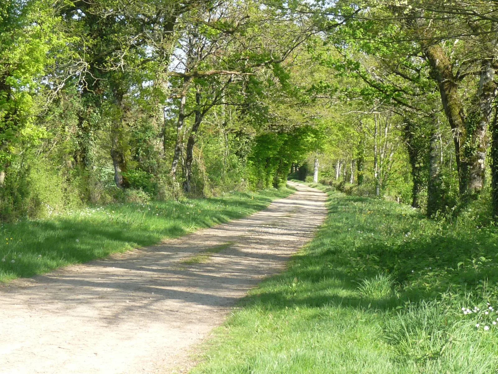 Lac de Lavaud à Lésignac-Durand — À 3,9 km du lac
