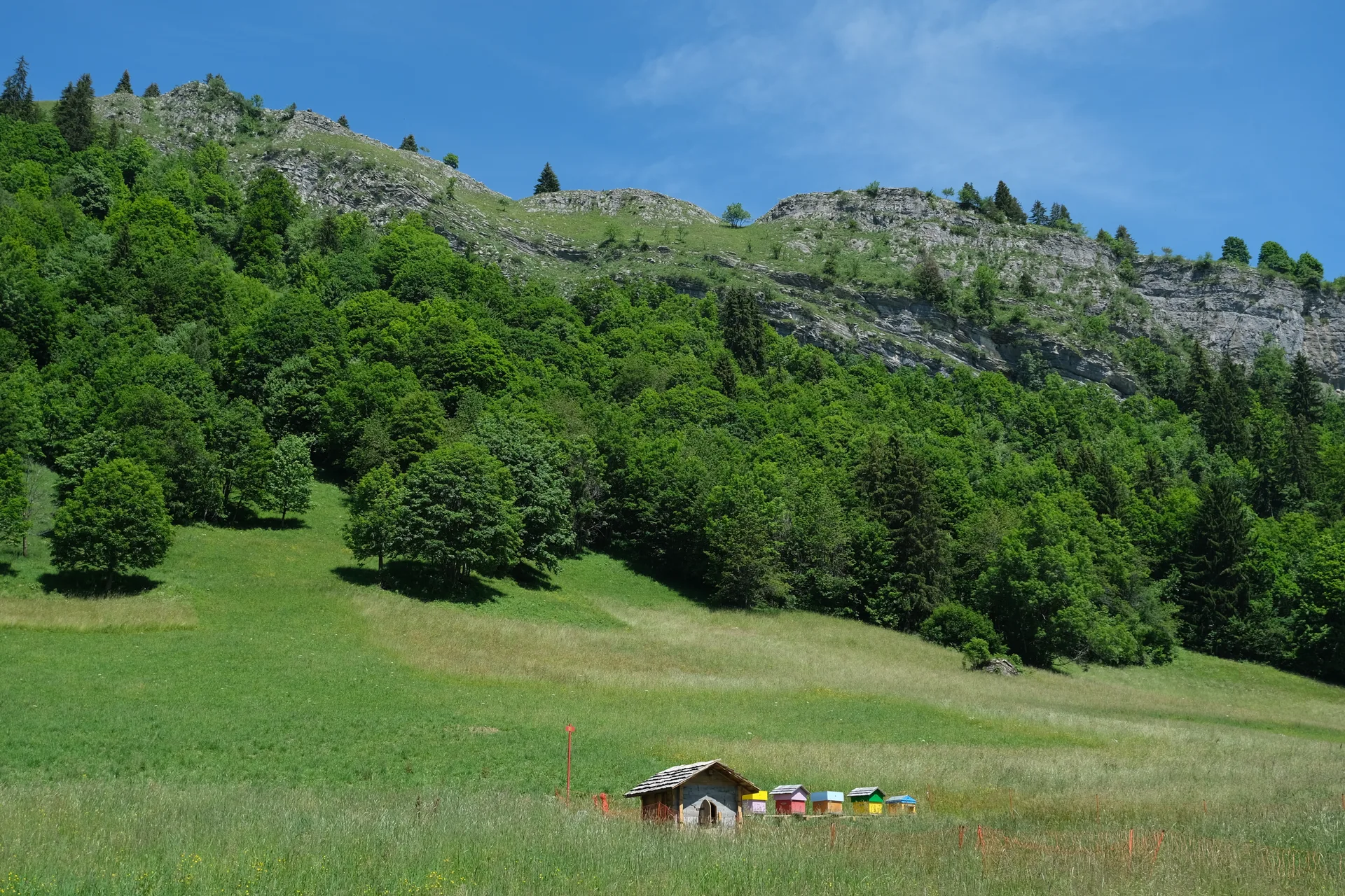 Lac de Lessy à Glières-Val-de-Borne — À 1,9 km du lac