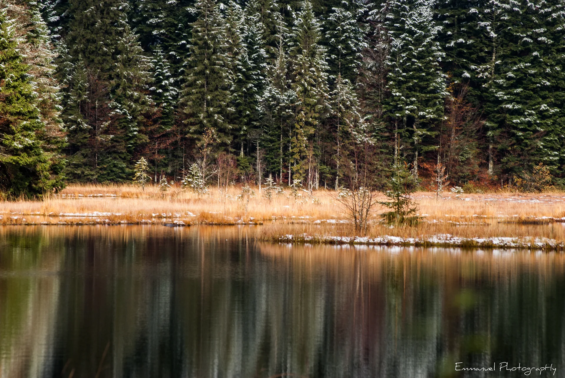 Lac de Lispach à La Bresse — À 461 m du lac