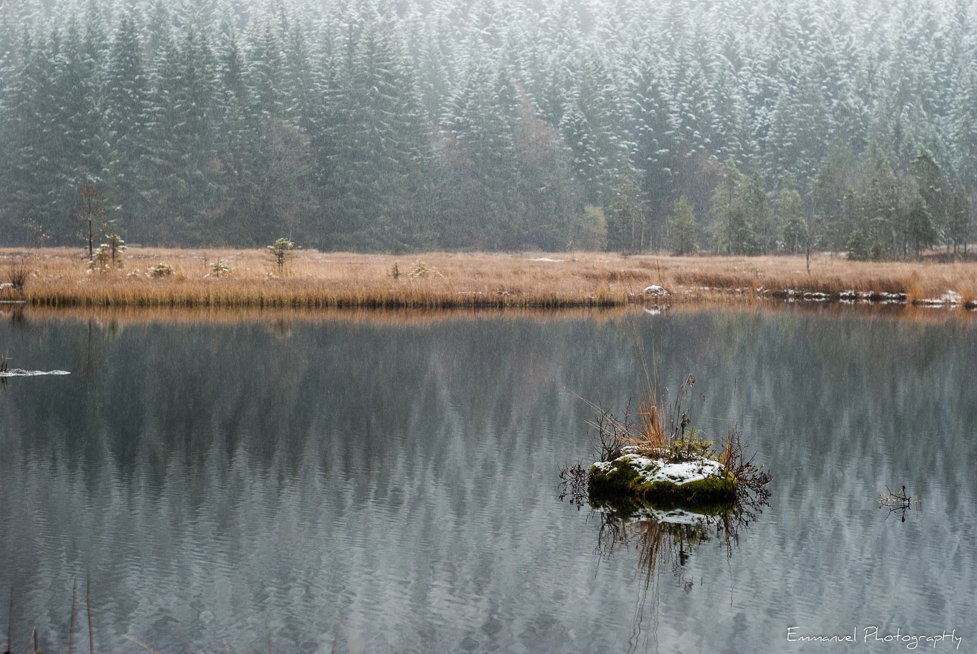 Lac de Lispach à La Bresse — À 461 m du lac
