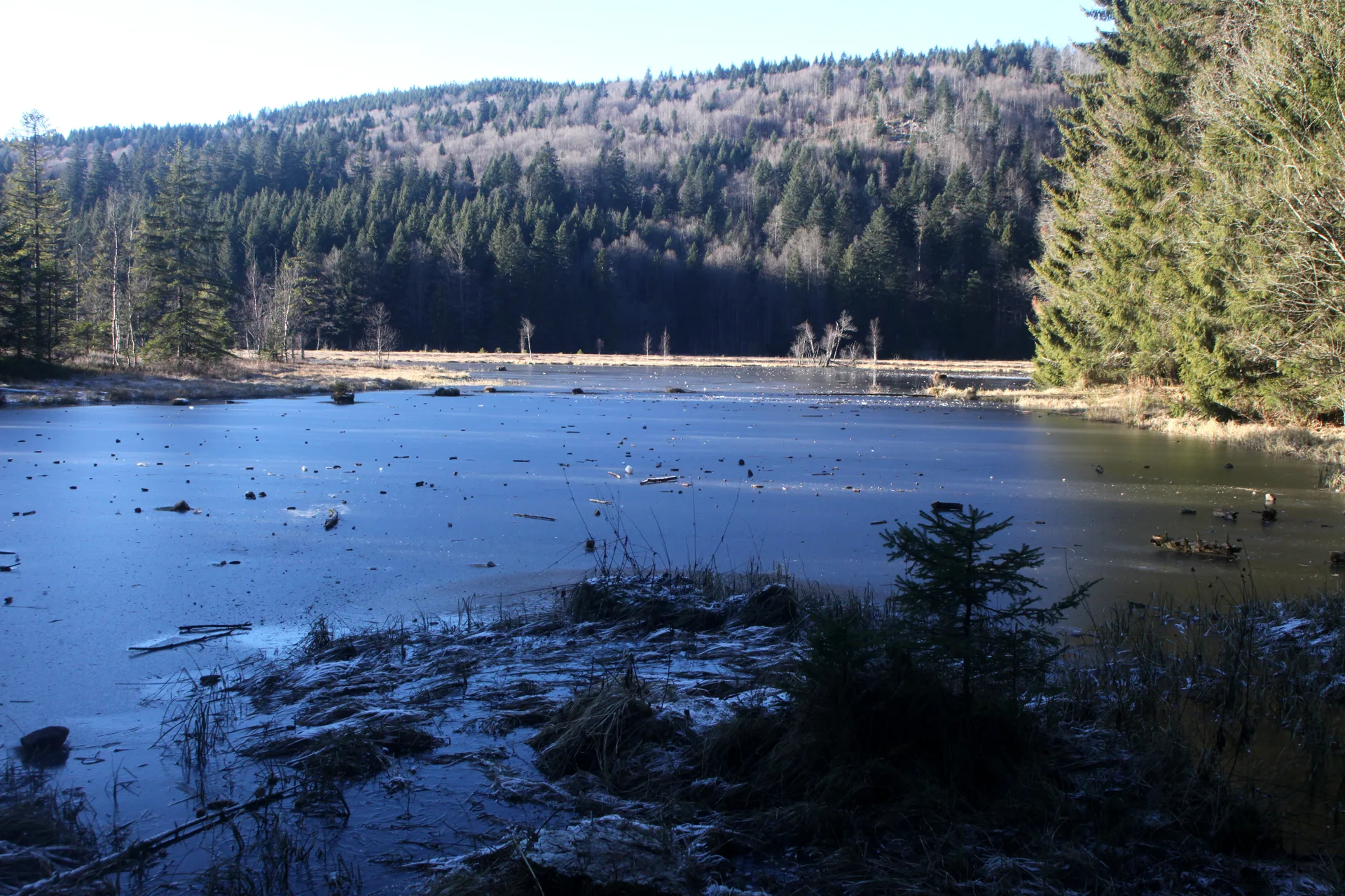 Lac de Lispach à La Bresse — À 515 m du lac