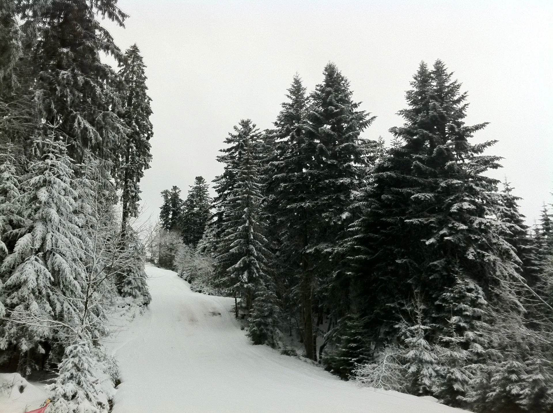 Lac de Lispach à La Bresse — À 2,8 km du lac
