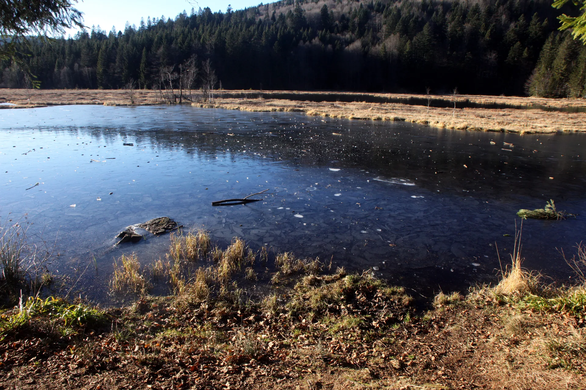 Lac de Longemer à Xonrupt-Longemer — À 1,3 km du lac