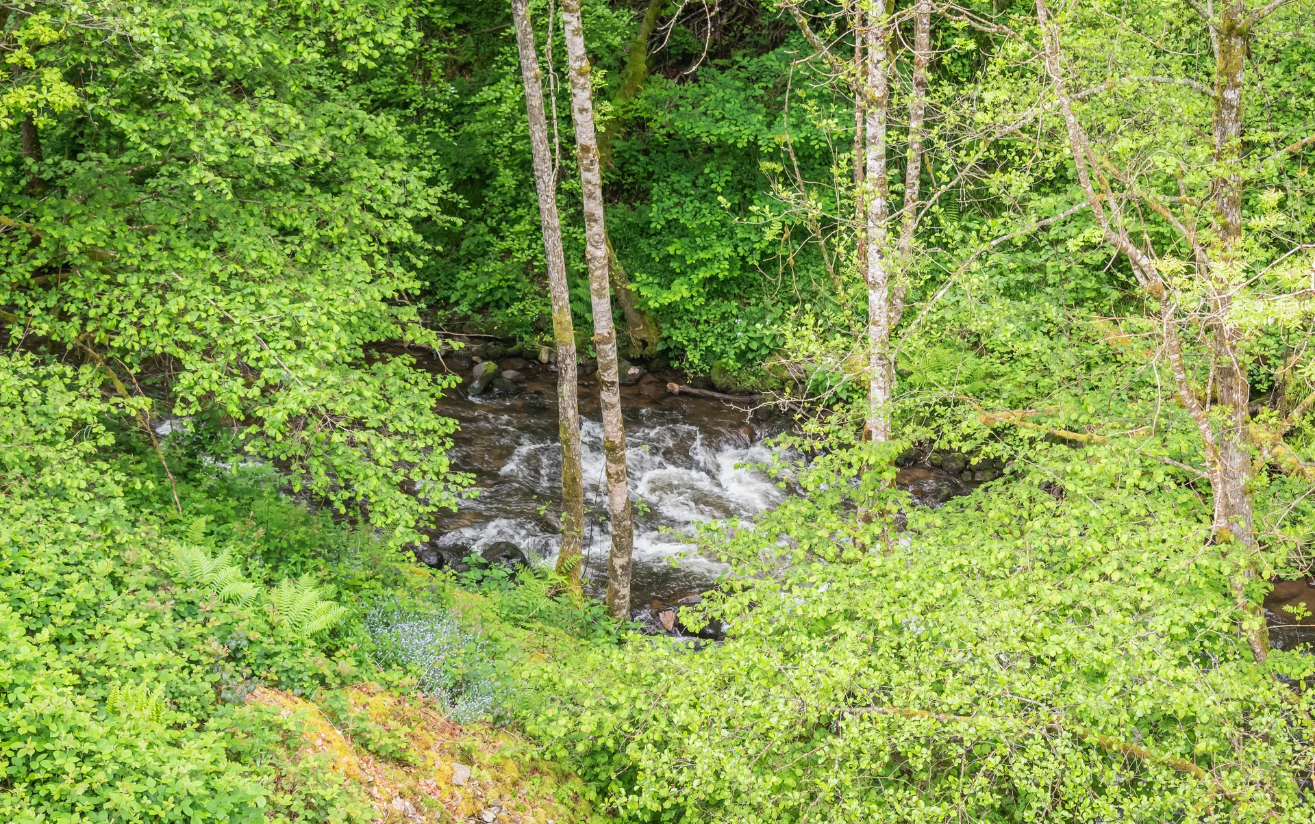 Lac de Menet à Menet — À 1,4 km du lac