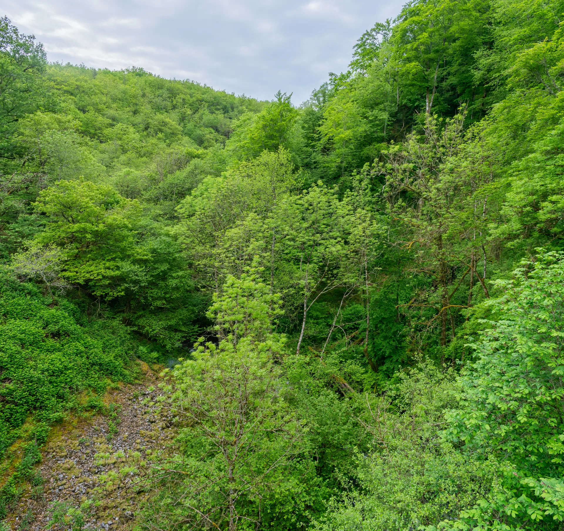 Lac de Menet à Menet — À 1,4 km du lac