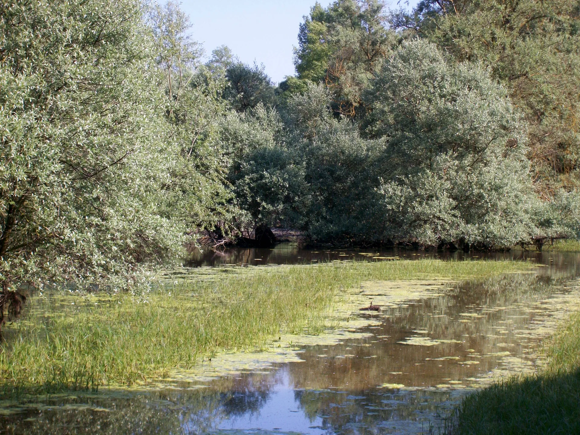 Lac de Mielan à Miélan — À 1,4 km du lac