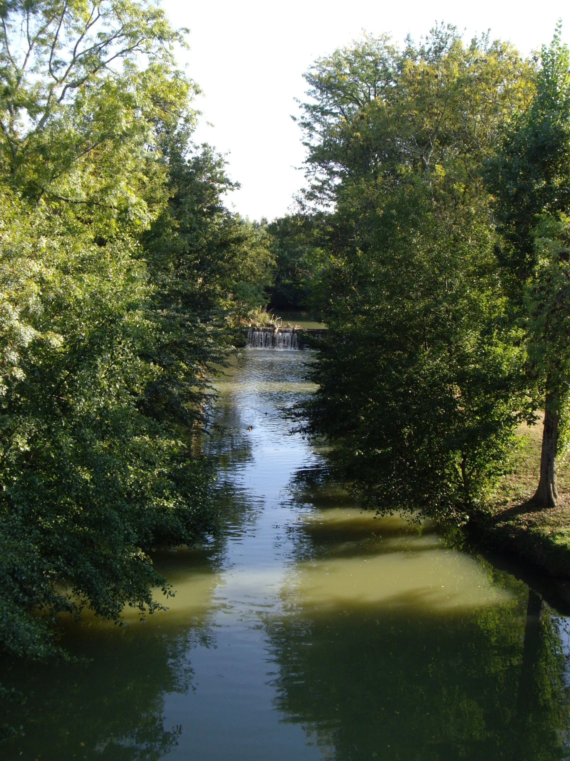 Lac de Mirande à Mirande — À 212 m du lac