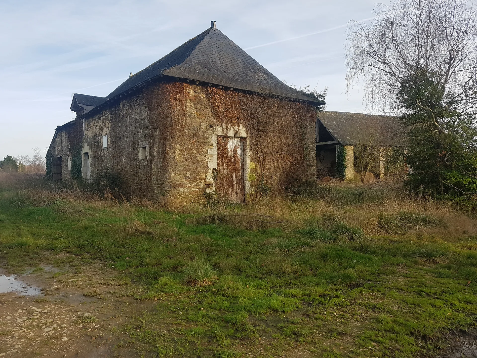 Lac de Mire à Miré — À 2,8 km du lac