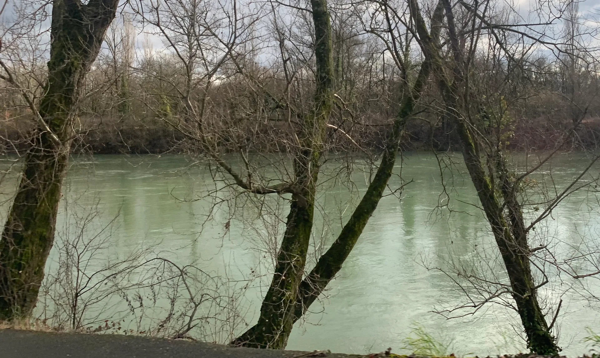 Lac de Miribel Jonage à Miribel — À 1,0 km du lac