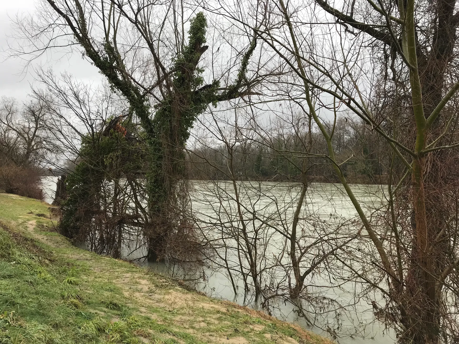 Lac de Miribel à Miribel — À 1,1 km du lac