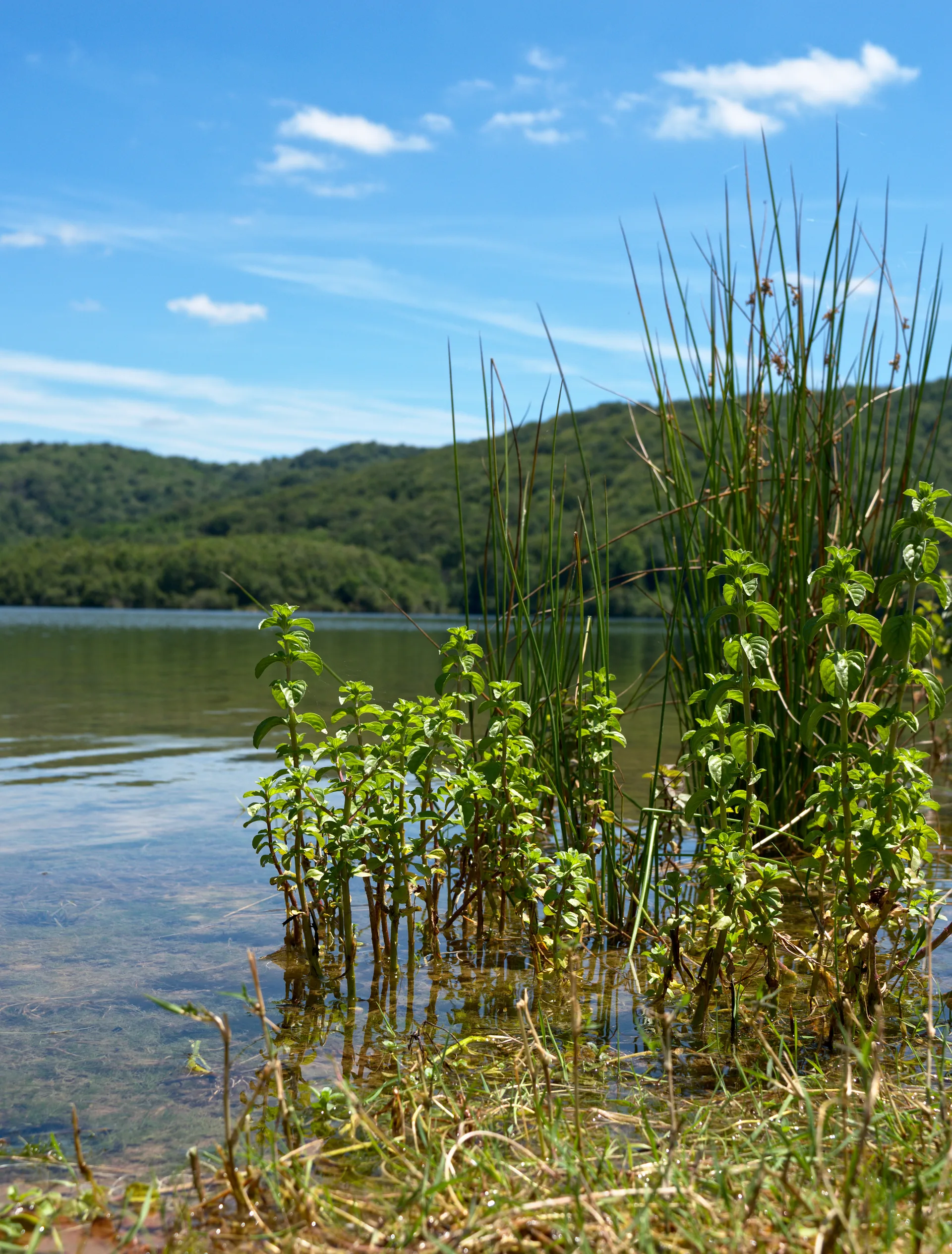Lac de Mondely à Gabre — À 4,1 km du lac