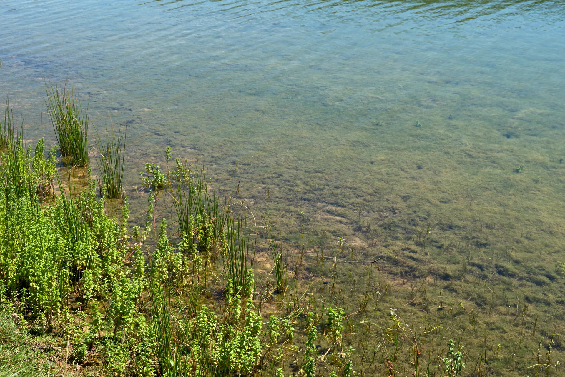 Lac de Mondely à Gabre — À 4,1 km du lac