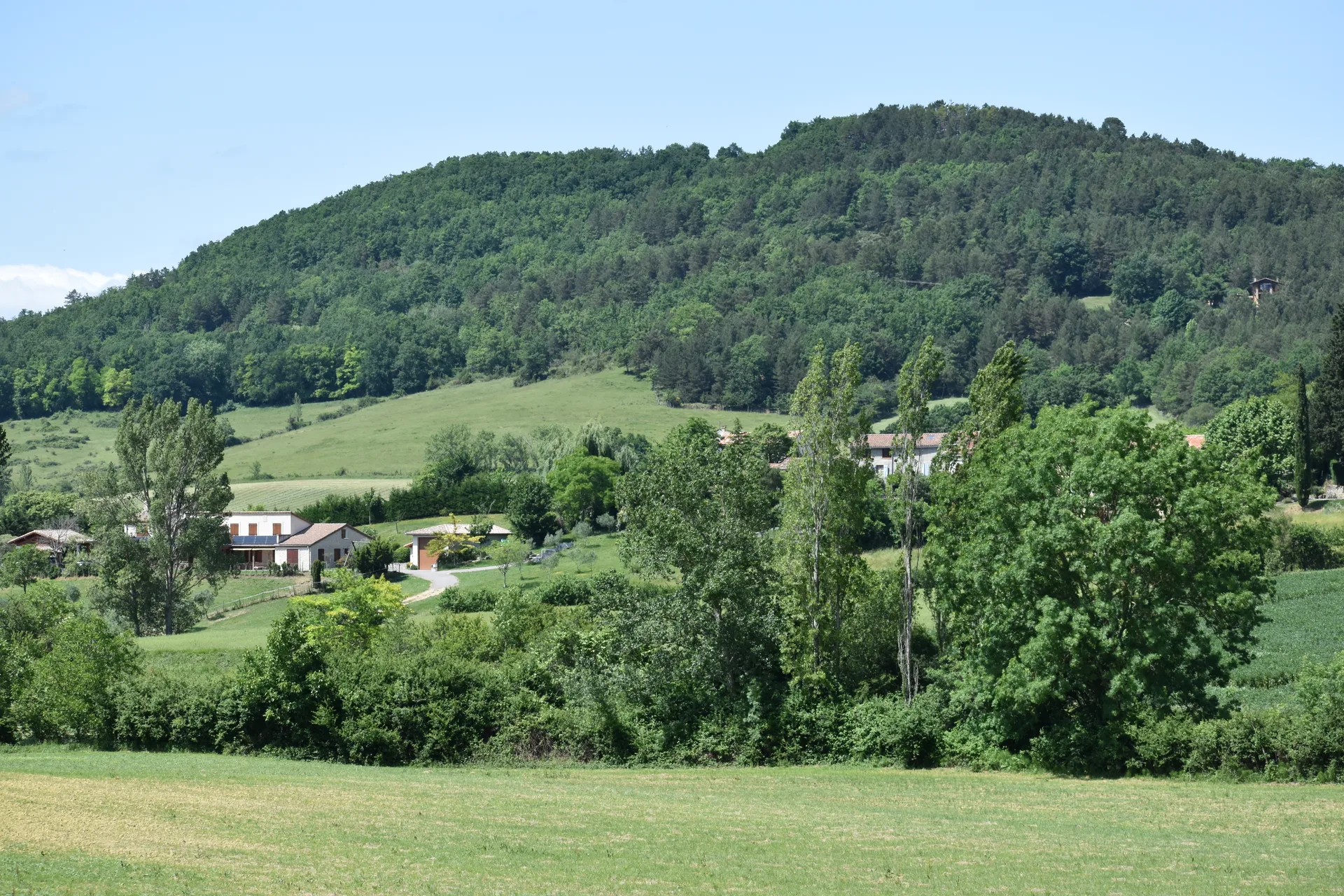 Lac de Montbel à Montbel — À 998 m du lac