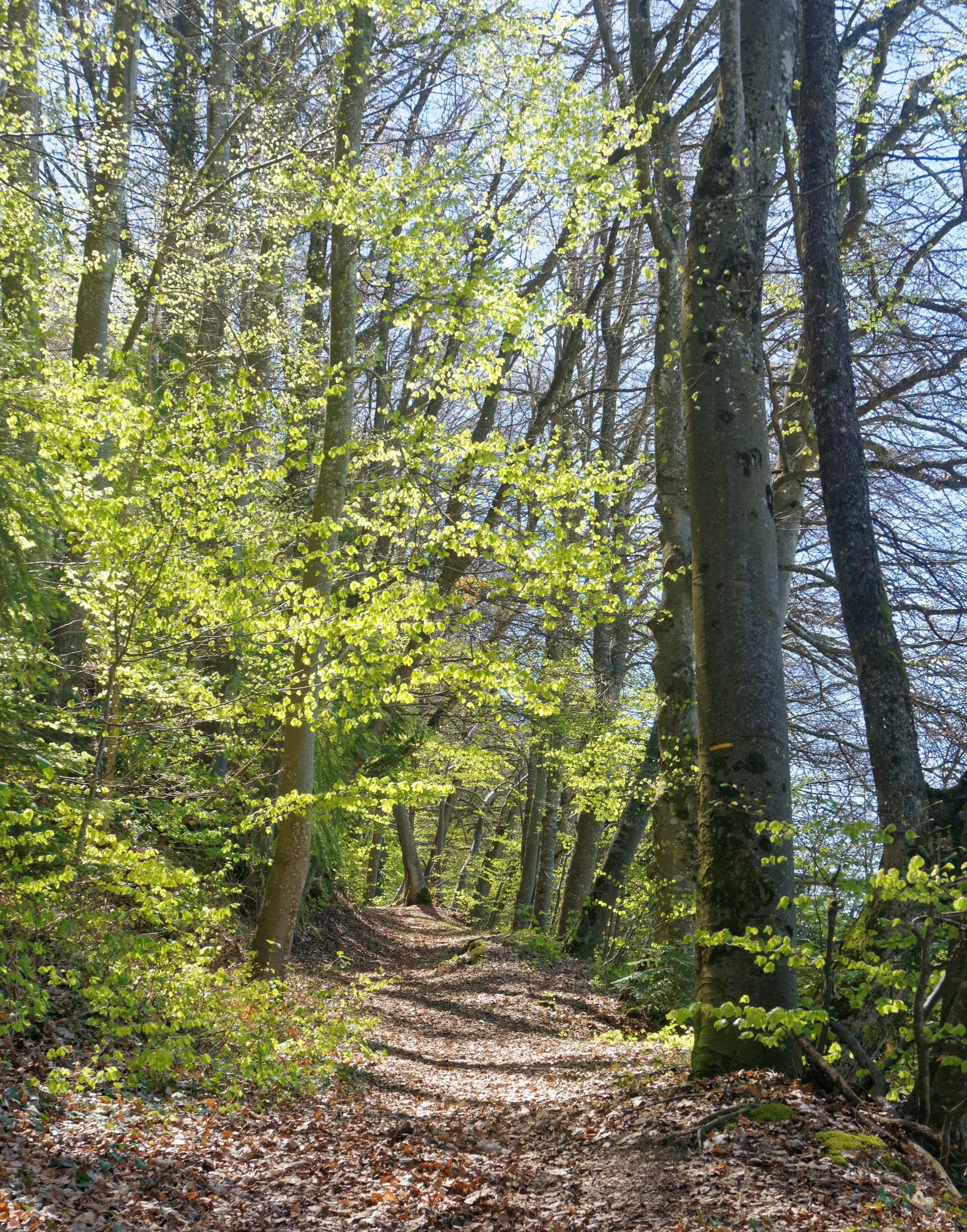 Lac de Monteynard à Treffort — À 3,8 km du lac